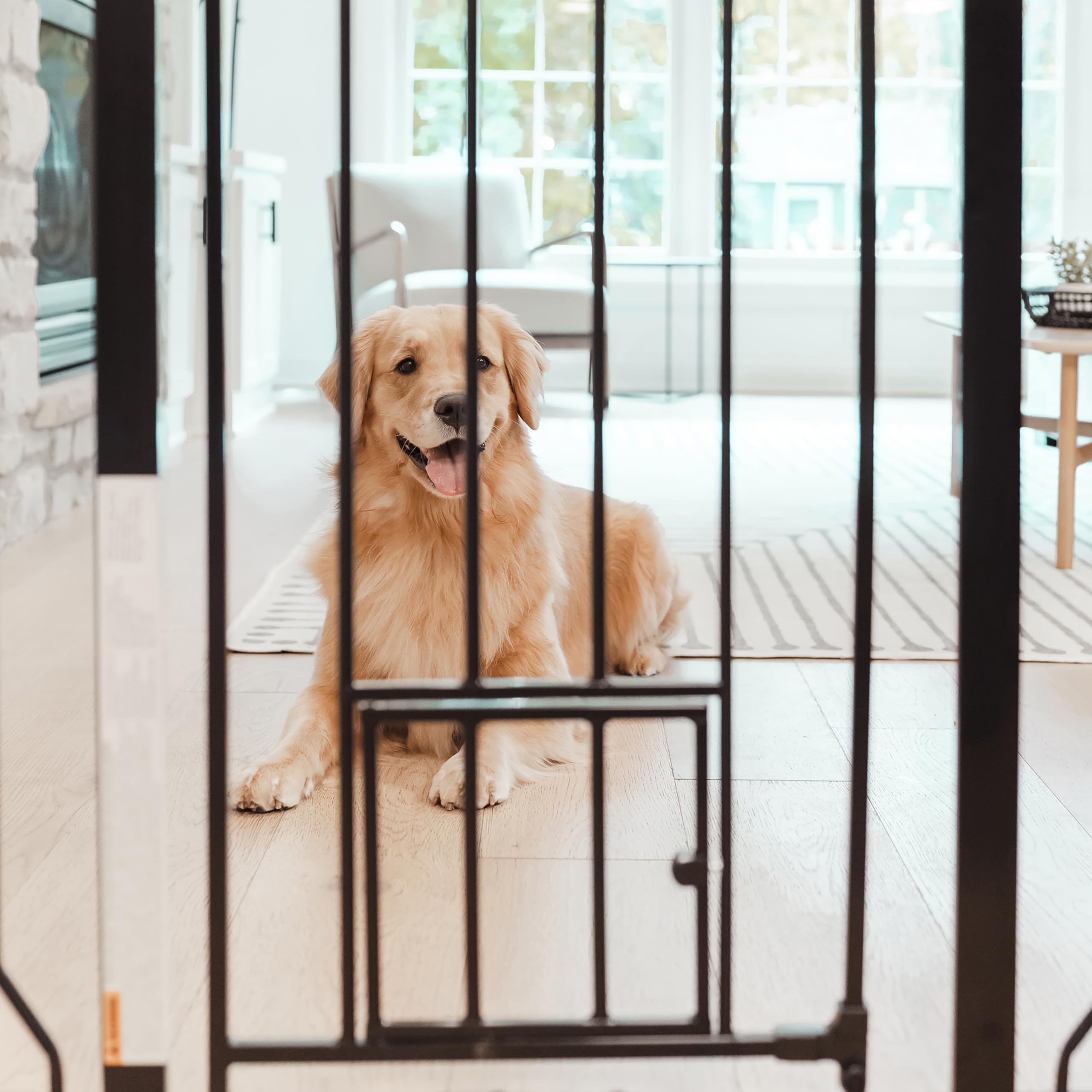 Carlson Extra Tall Walk Through Pet Gate With Small Pet Door, Includes 4-Inch Extension Kit, 4 Pack Pressure Mount Kit And 4 Pack Wall Mount Kit, Black