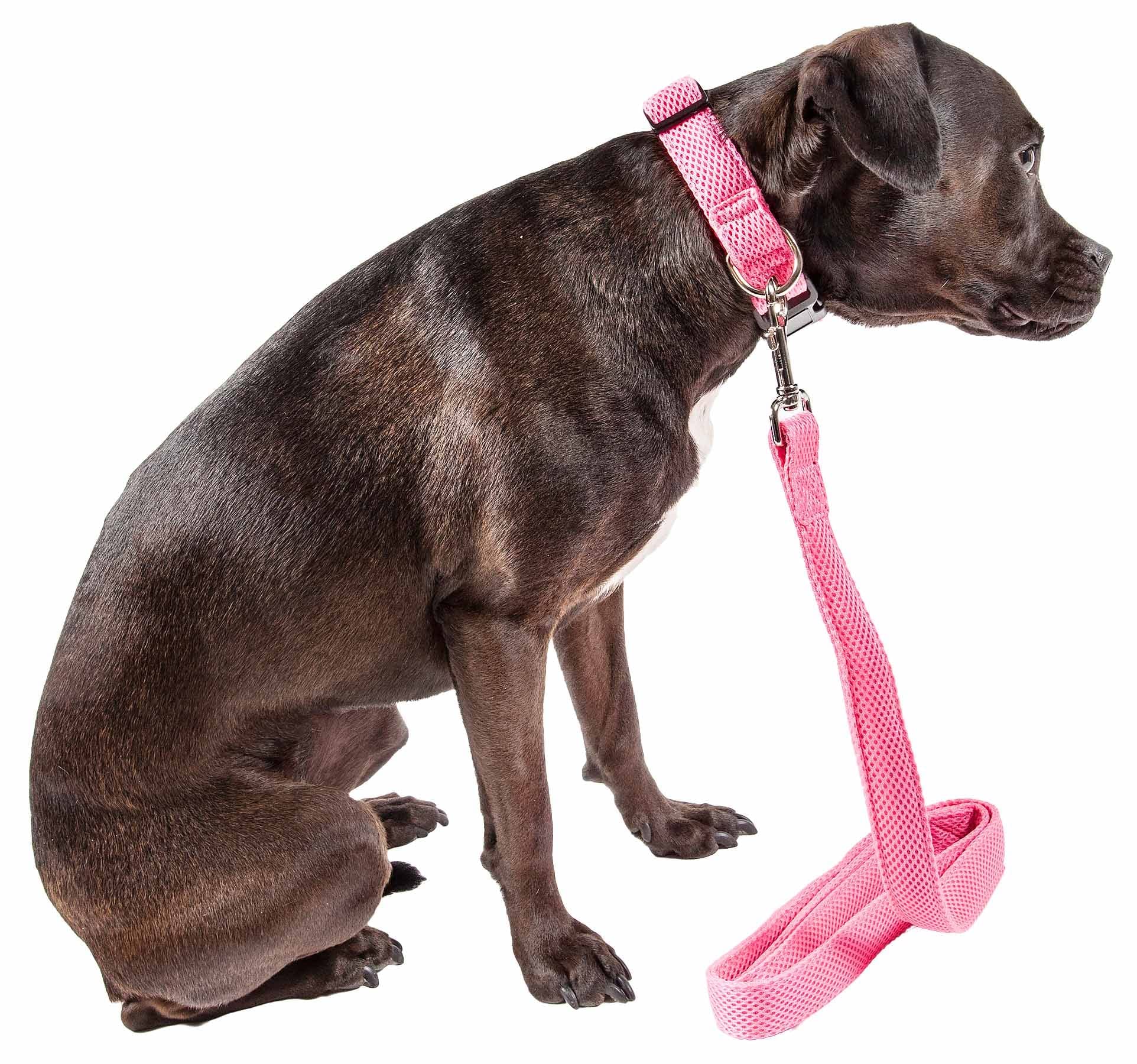 Pet Life Aero Mesh 2-In-1 Dual Sided Comfortable And Breathable Adjustable Mesh Dog Leash-Collar, Medium, Pink (Clsh14Pkmd)