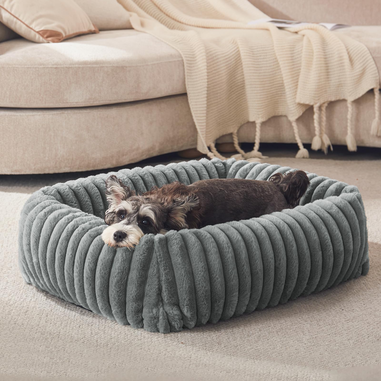 FURTIME Dog Bed for Small Dogs, Washable Orthopedic Dog Bed with Removable Cover, Rectangle Soft Calming Sleeping Puppy Bed Dura