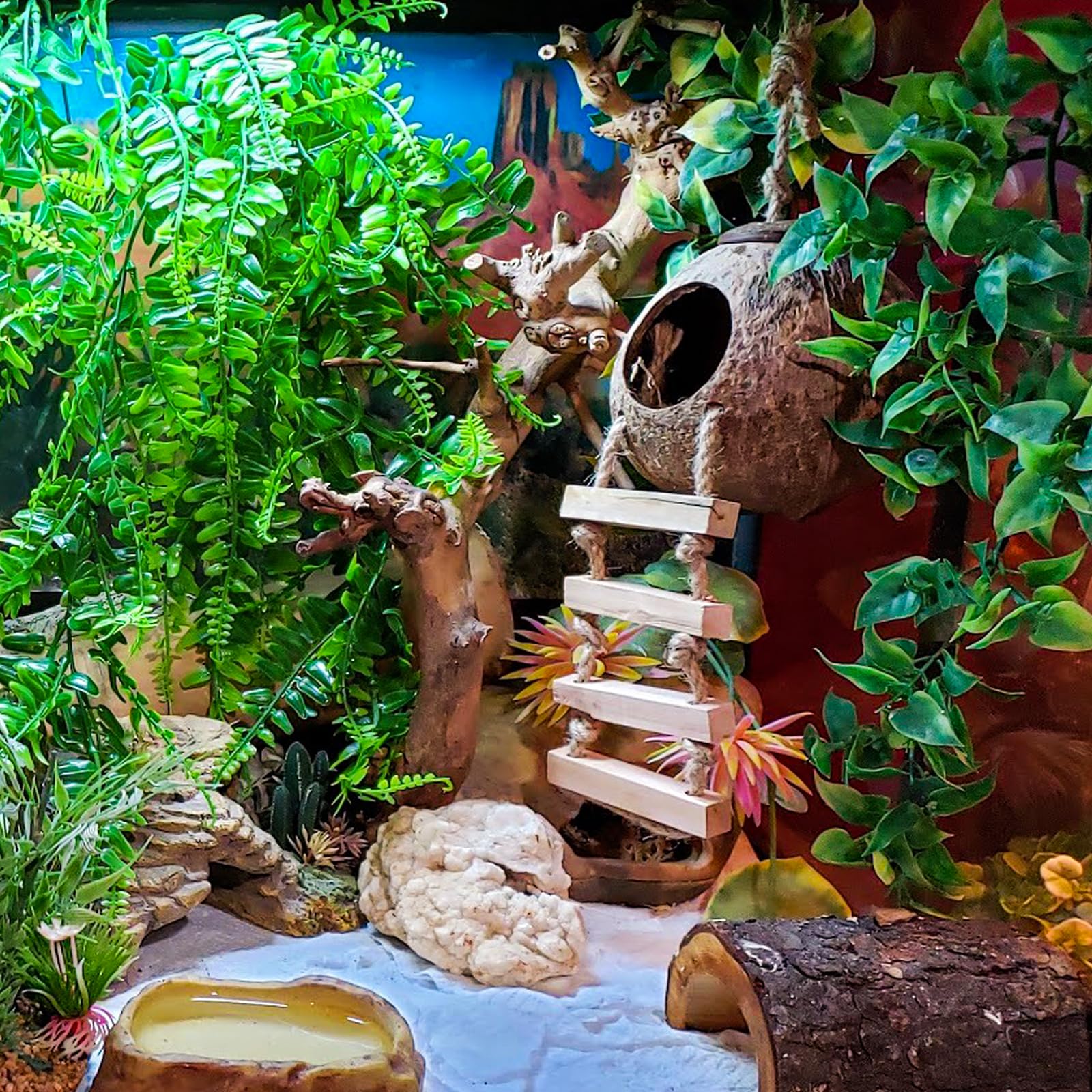 Hercocci 5 Pack Reptile Plants, Terrarium Hanging Plants Vines Artificial Leaves Habitat Decorations With Suction Cup For Bearded Dragon Hermit Crab Lizard Snake Geckos Chameleon