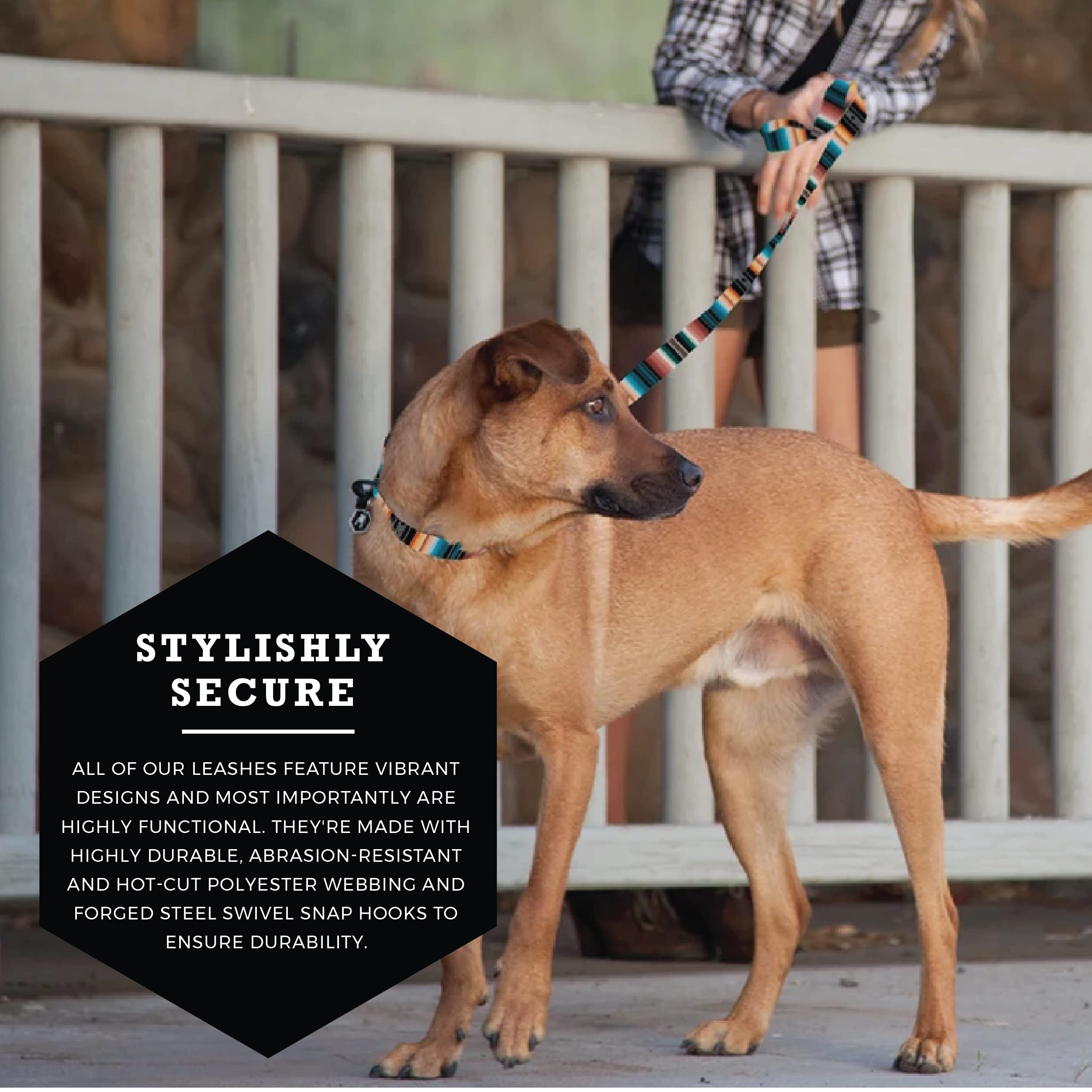Wolfgang Heavy Duty Dog Leash, Pull-Tested To Over 800 Lbs For Walking & Training, Lostart Print, Large