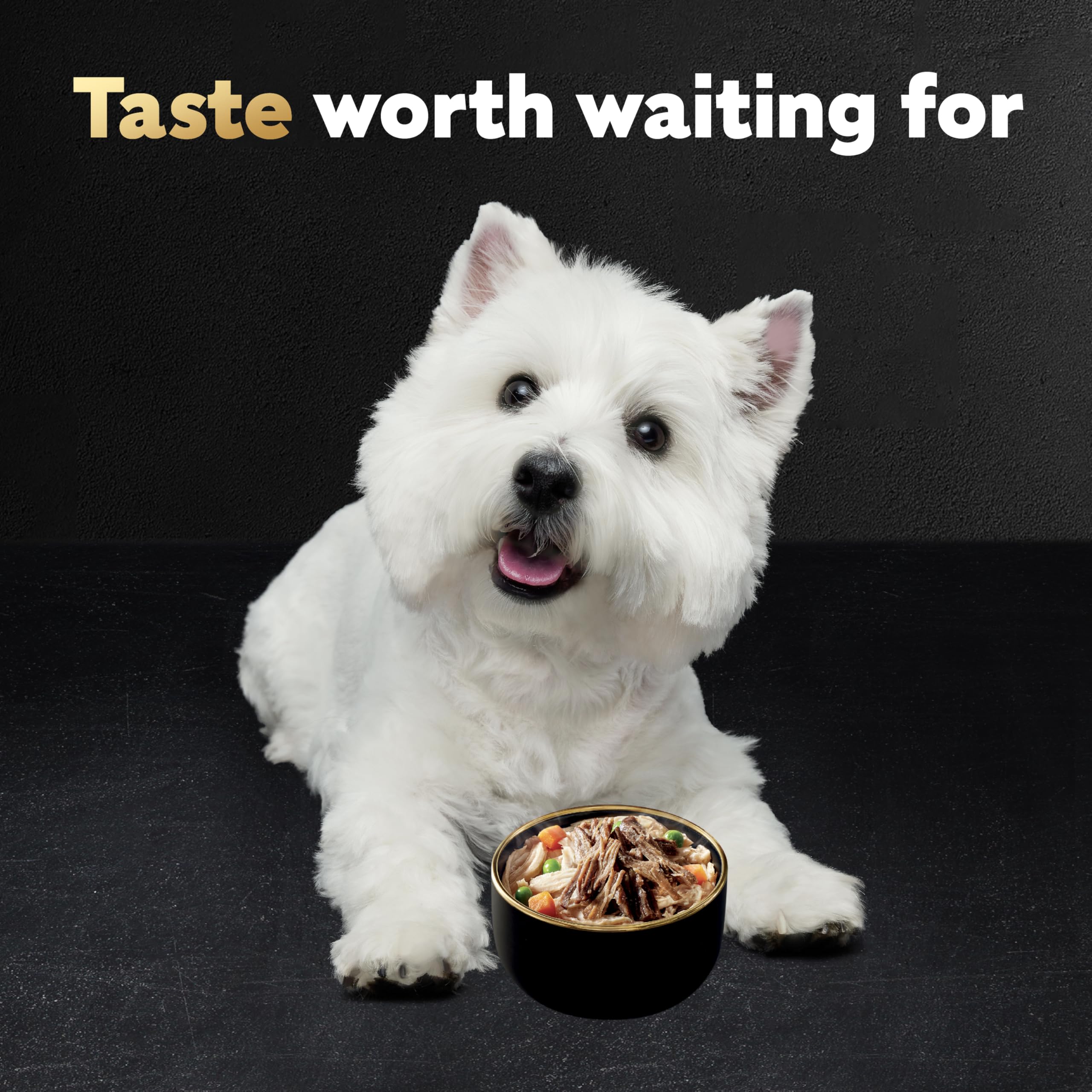 Cesar Warm Bowls Wet Dog Food Chicken & Beef Entr  e with Vegetables & a Hint of Cranberry in Broth, Wet Food for Dogs, 2.7 oz B