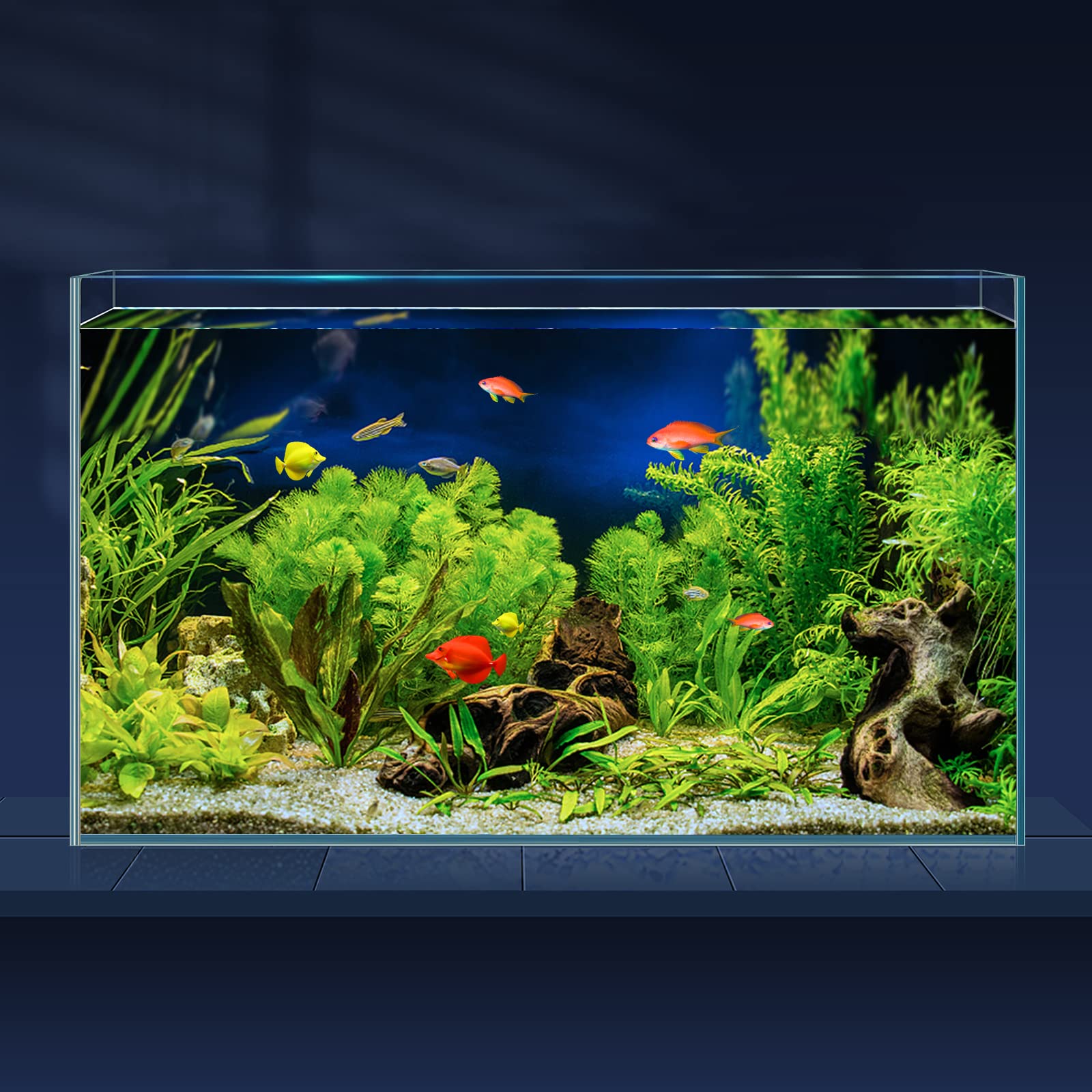 Laqual 10 Gallon Ultra Clear Glass Fish Tank, Rimless Low Iron Aquarium For Betta/Nano/Goldfish/Snail/Shrimp, Big Fish Tank & Co