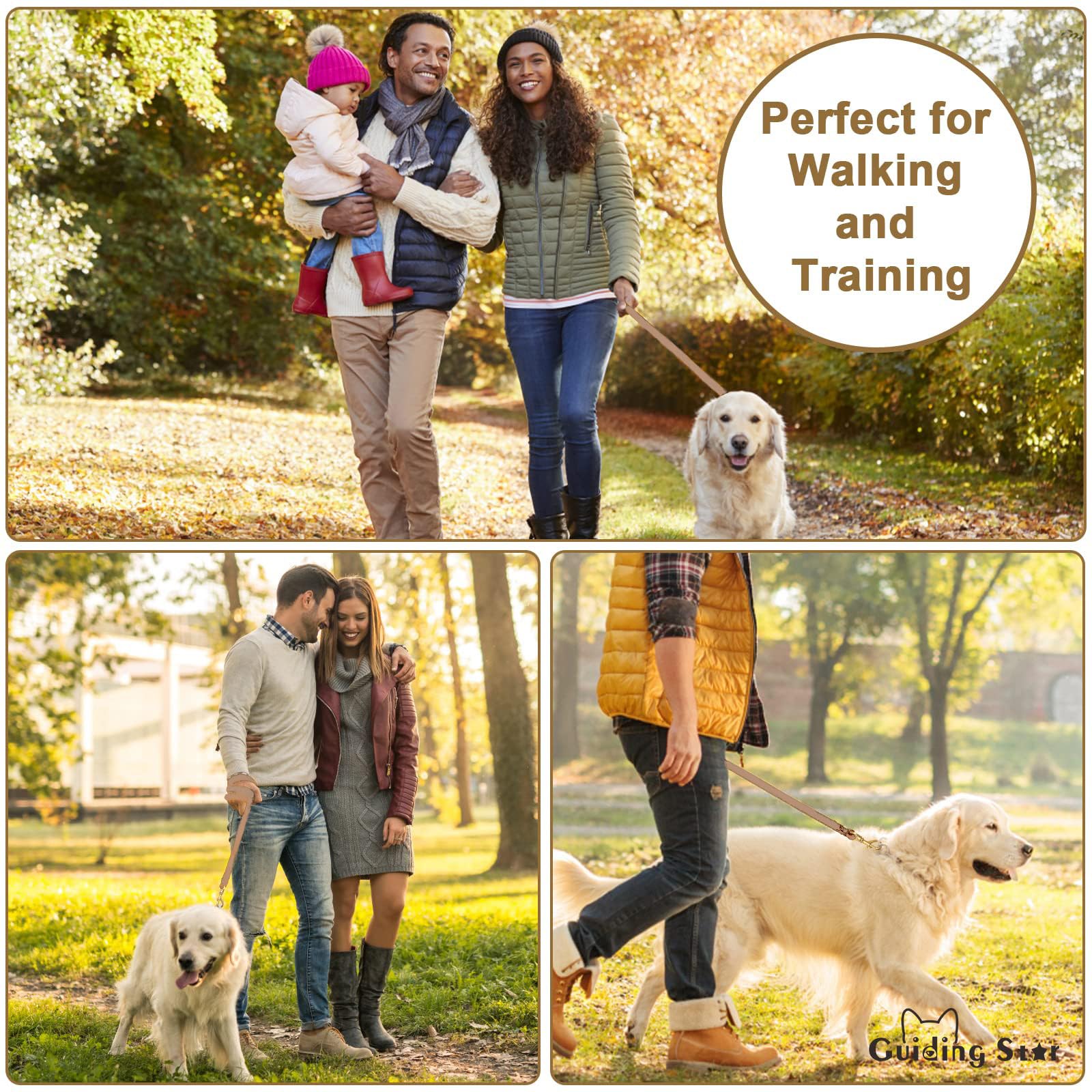 Guiding Star Leather Dog Leash - 6ft Heavy Duty, Soft Braided Handmade Leather Training Leash for Large & Medium Dogs (6ft x 1/2