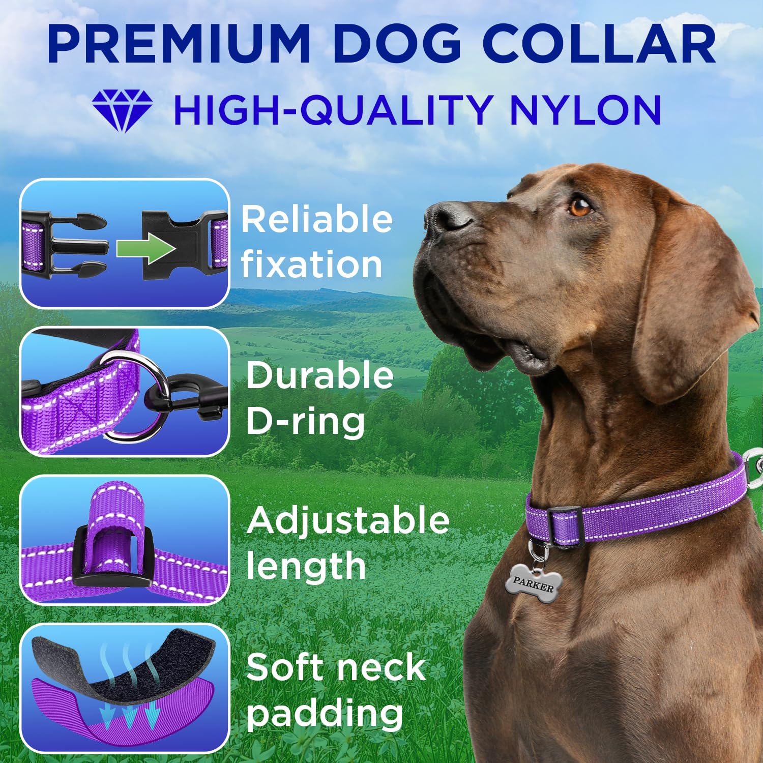 Teceum Reflective Pet Collar - Purple - L - Extra Soft Padding - Basic Nylon Dog Collar - Quick Release Buckle - Fits Small, Med