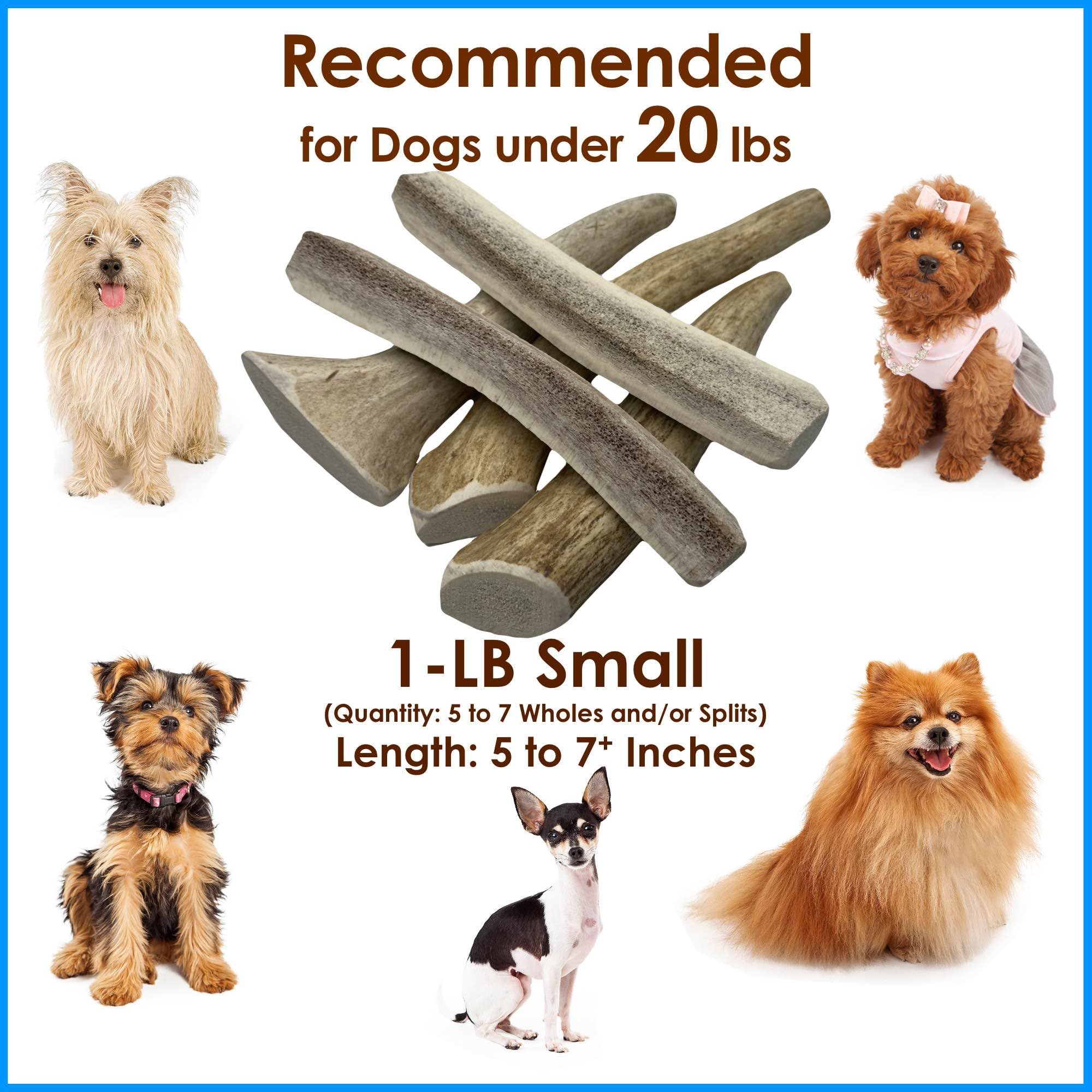 Deluxe Naturals 1-LB Small Mixed Whole & Split Elk Antler Dog Chews (5-7+ in) - Natural Long-Lasting Chews for Dogs Under 20 lbs