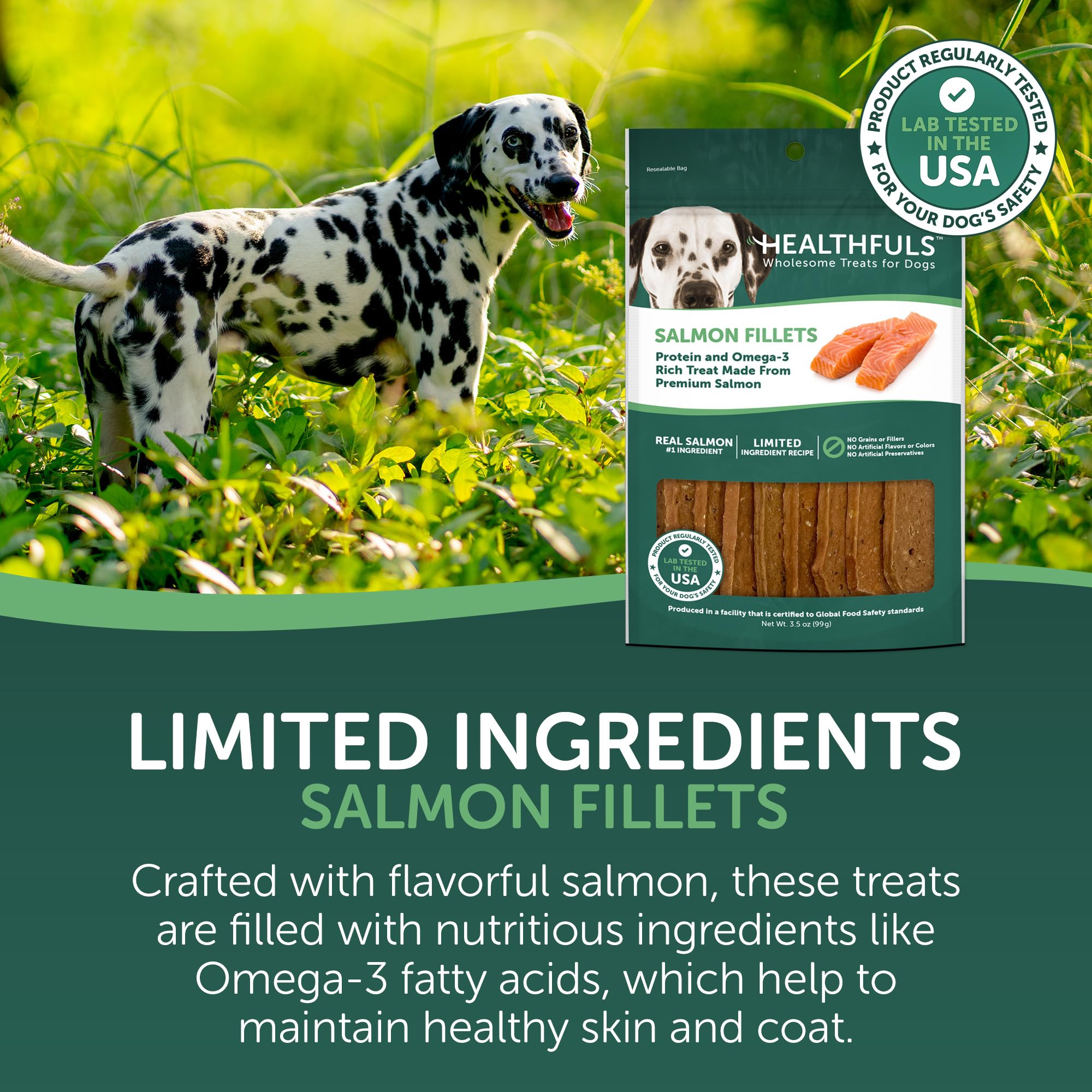HEALTHFULS Salmon Fillet Dog Treats, 3.5oz - Natural Salmon Flavor, Model 8355