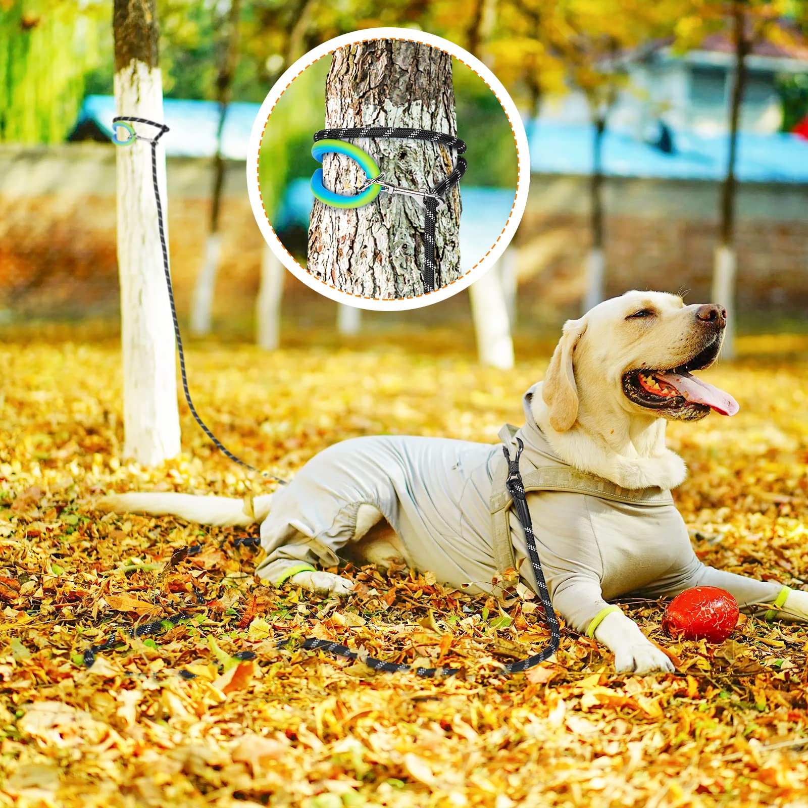 Ntr Dog Long Leash, 50Ft Recall Training Lead, With 2 Swivel Hooks, Reflective Threads And Soft Rubber Handle, Puppy Leash For W