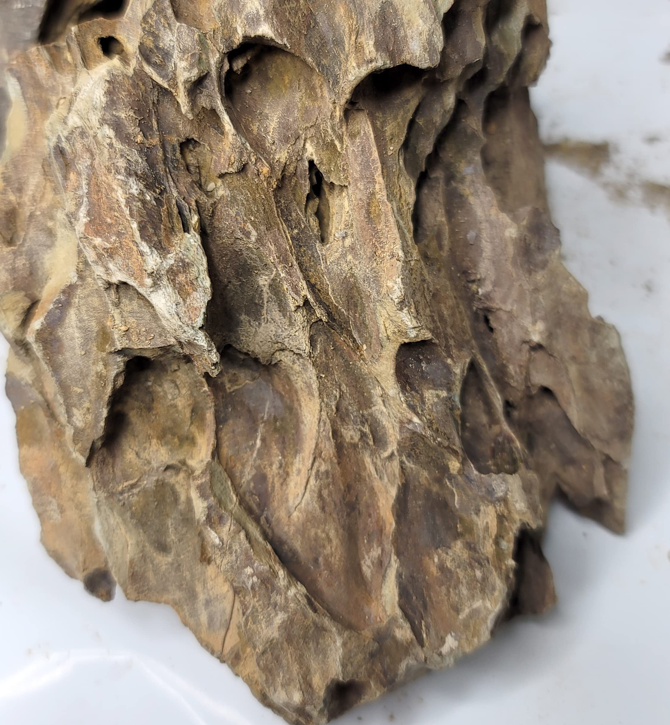 Aqualexs Aquarium Ohko Dragon Stone Rock Mixed Sizes