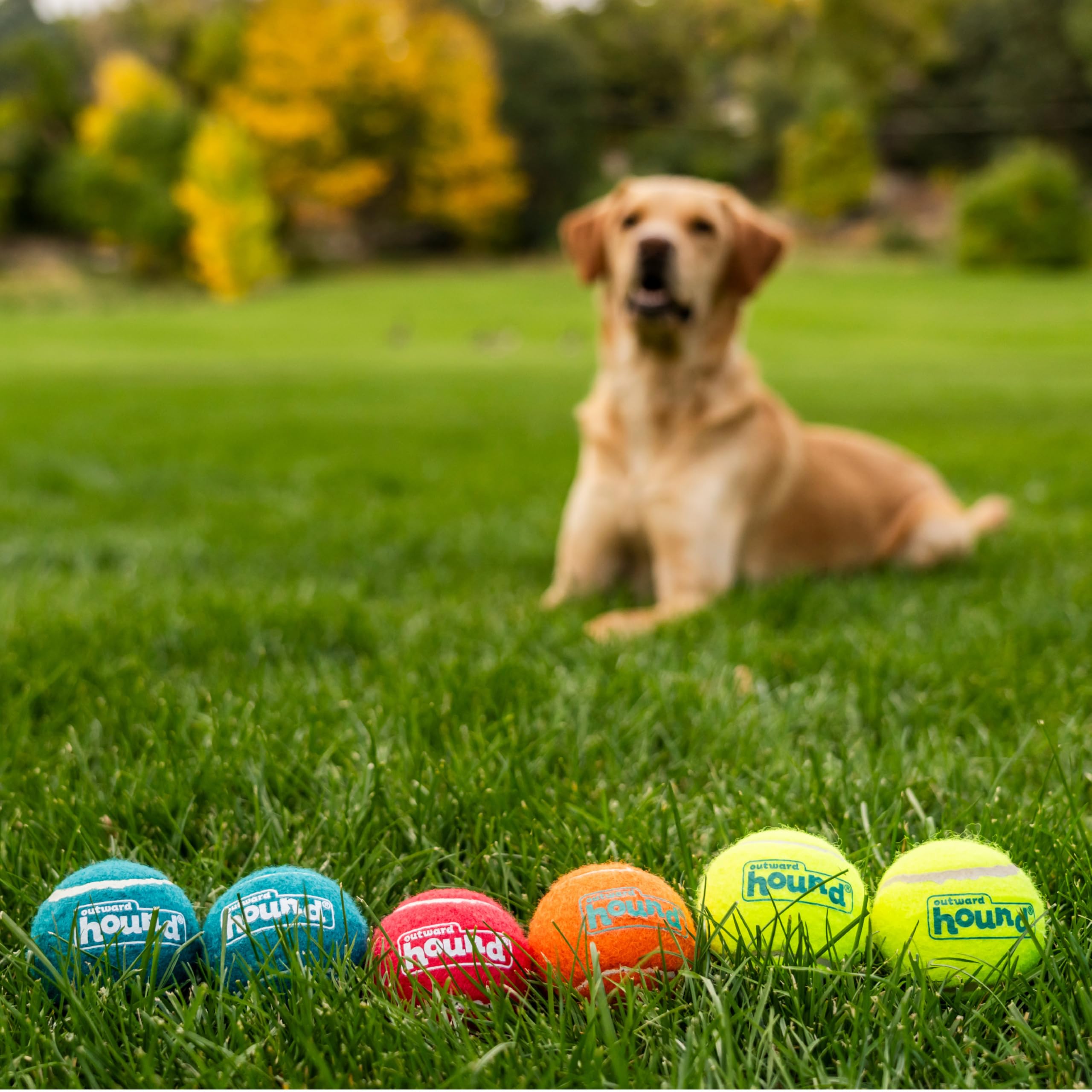 Outward Hound Squeaker Ballz Fetch Dog Toy, Medium, 6-Pack