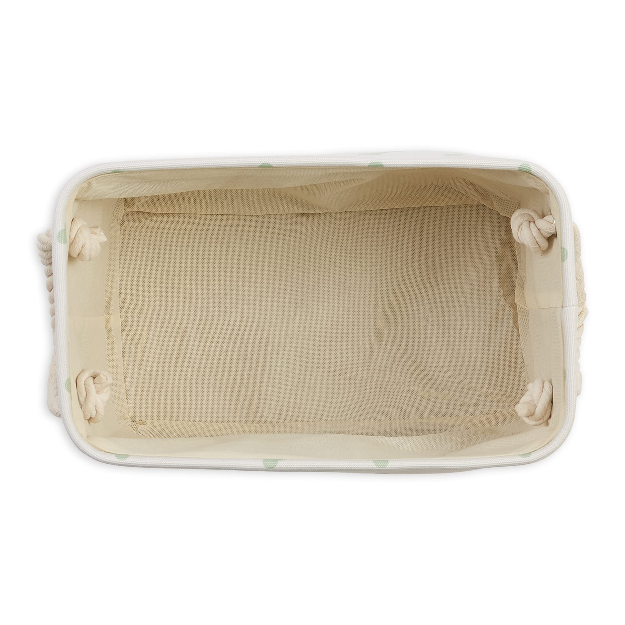 Bone Dry Pet Storage Collection Paw and Bone Print, Small Rectangle, 14x8x9, Mint