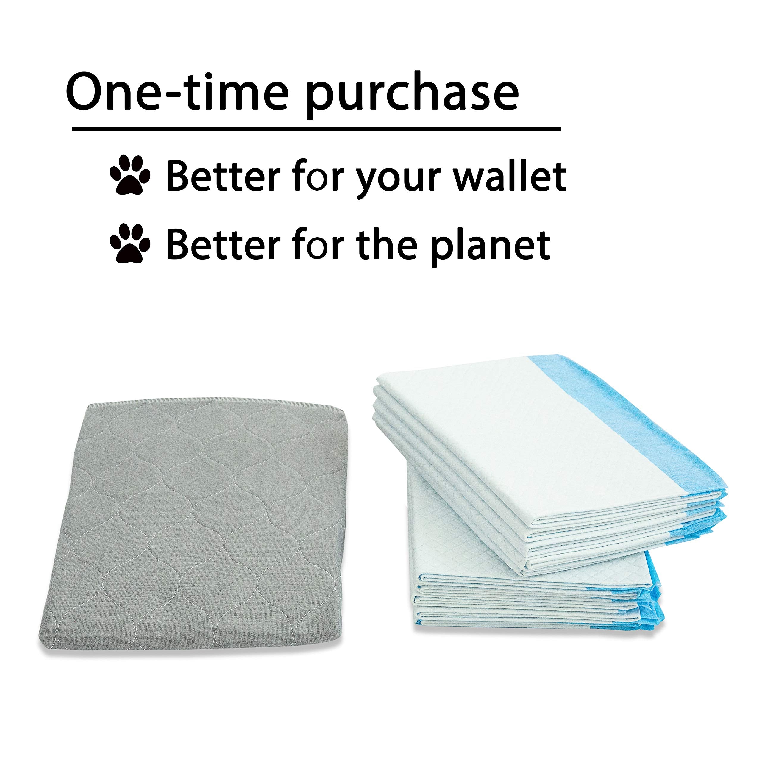 Rocket & Rex Washable Pee Pads For Dogs | Reusable Puppy Pads And Piddle Pads For Dogs | Waterproof, Absorbent, Easy Cleanup | Tons Of Uses In Home | Reduces Waste | Small - Medium Breeds