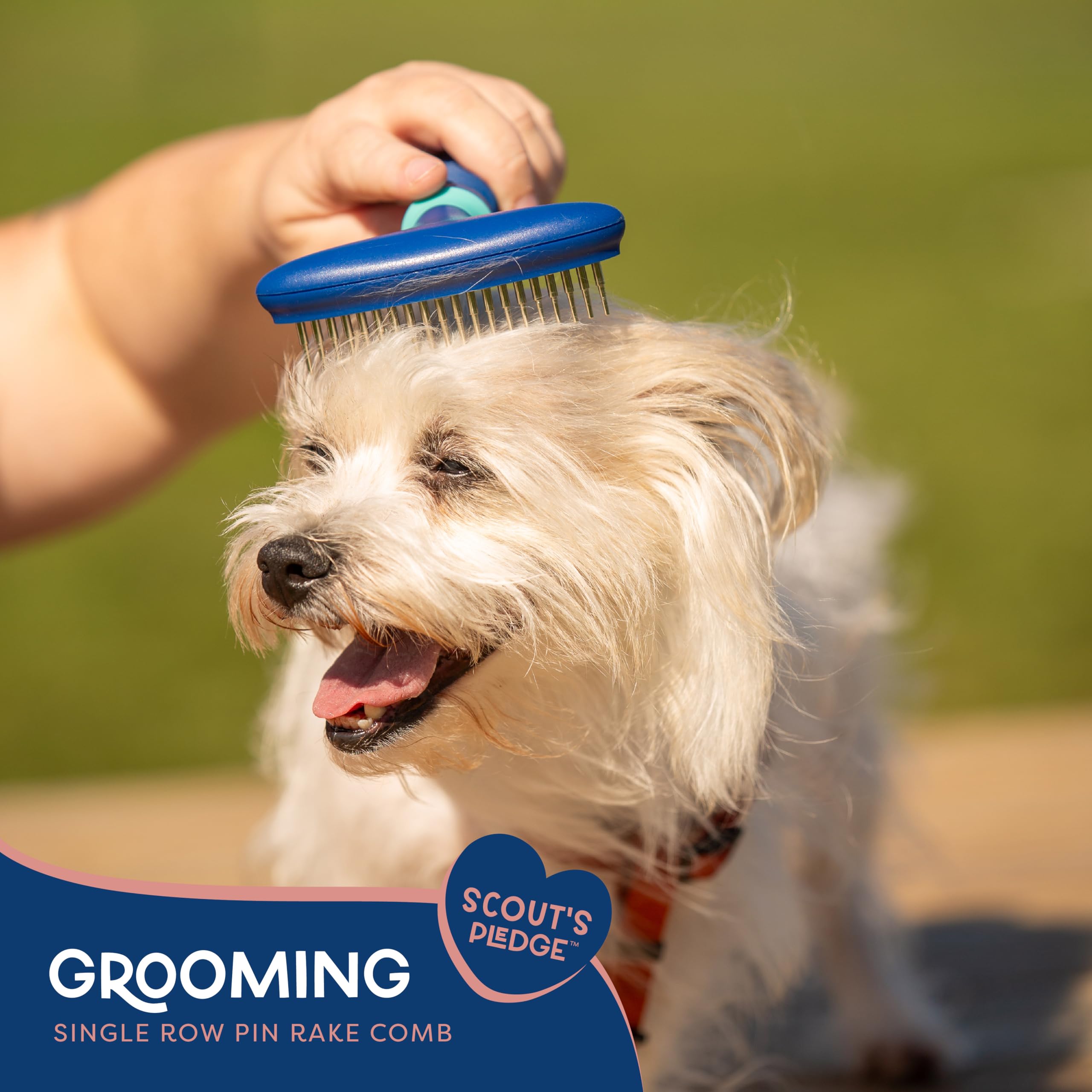 Good Scout Pet Hair Rake - Metal Grooming Tool for Dogs & Cats, Blue, Model 38027, Effective Deshedding for Short & Long Haired Animals