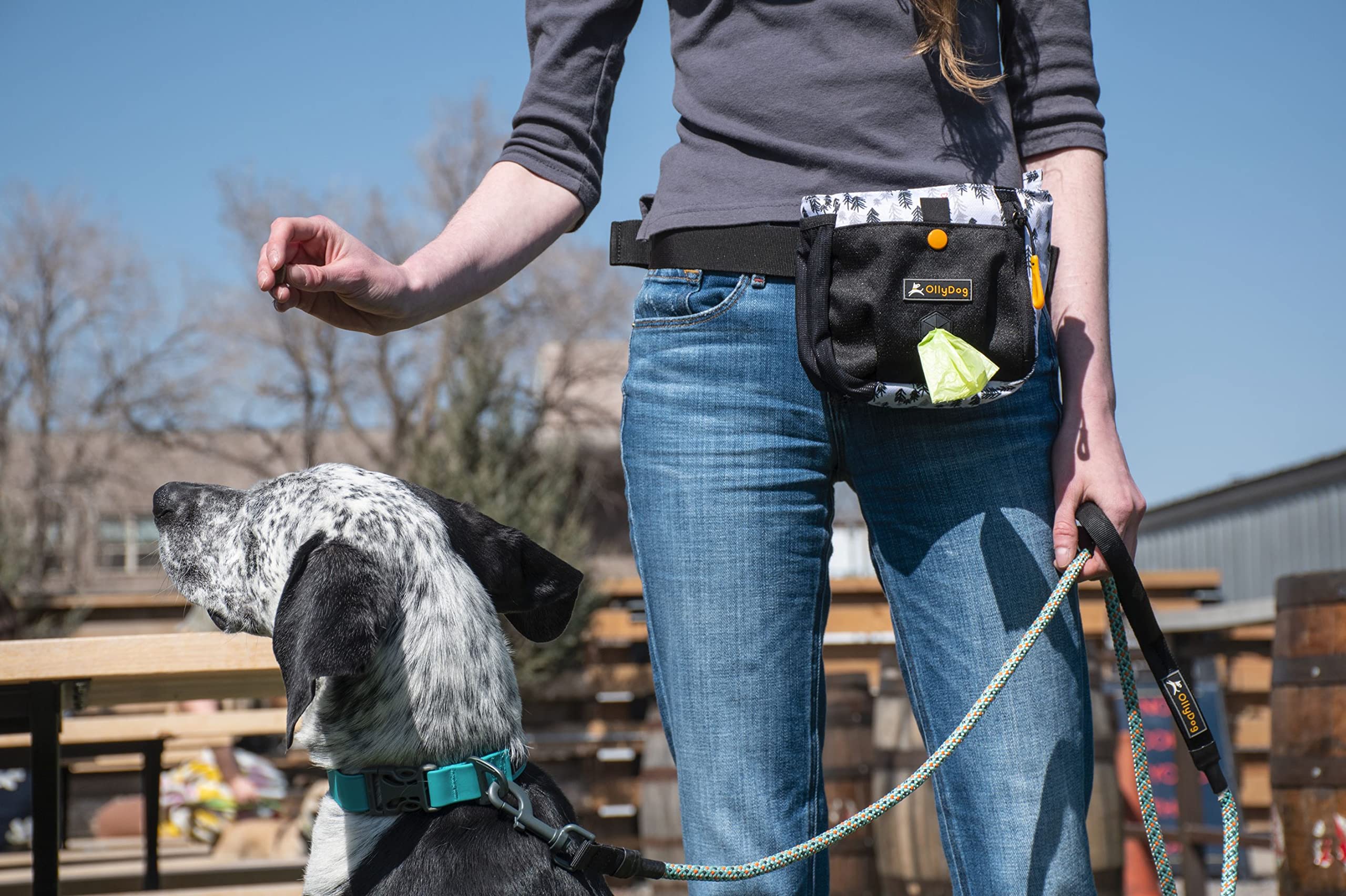 OllyDog Backcountry Day Bag Fanny Pack, Dog Treat Pouch, Polyester, One Size, Raven, Model 1050-1100-102