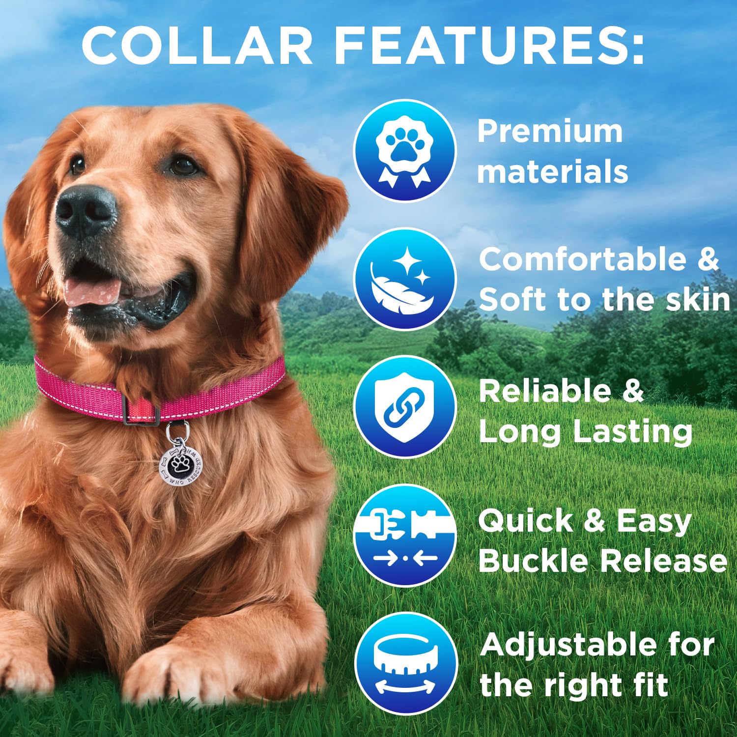 Teceum Reflective Pet Collar - Hot Pink - Xs - Extra Soft Padding - Basic Nylon Dog Collar - Quick Release Buckle - Fits Small,