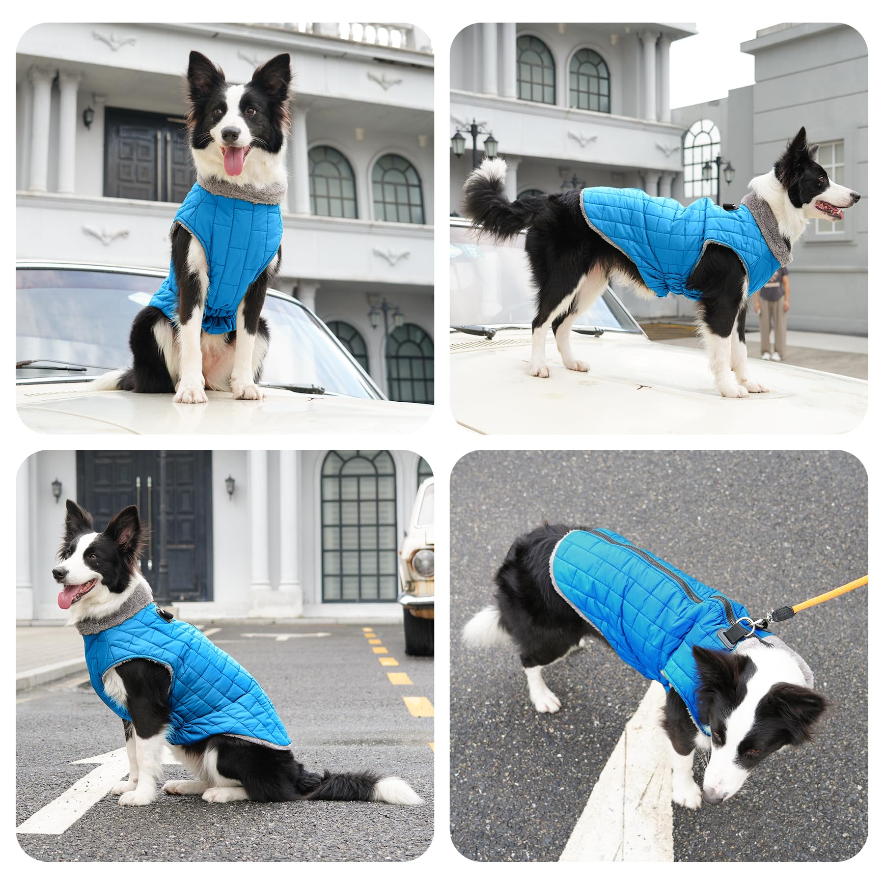 JoyDaog Warm Fleece Dog Coat with Built-in Harness, Waterproof, XXX-Large, Light Blue