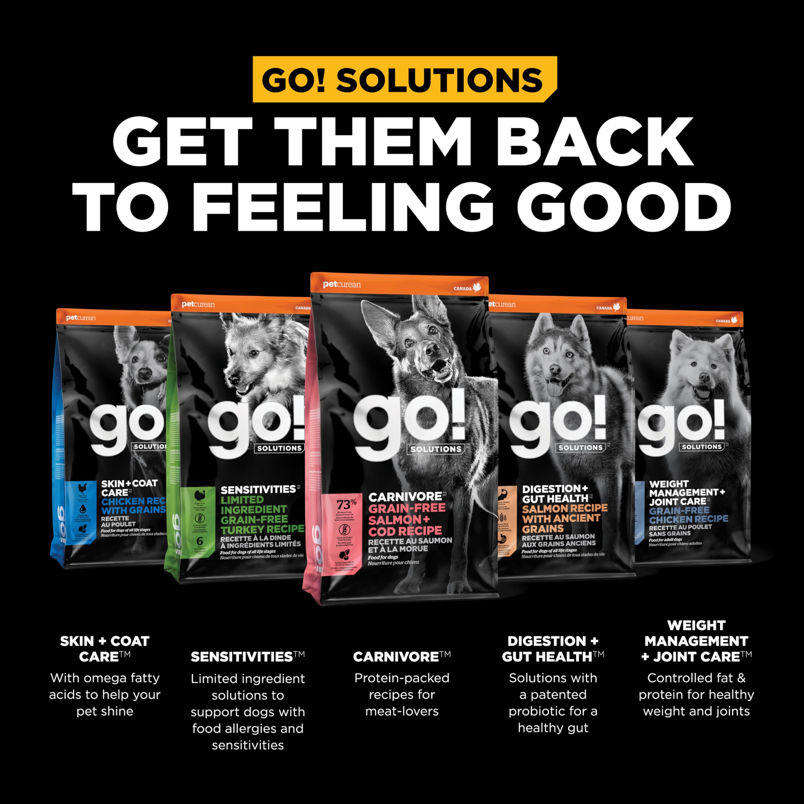 Go! Solutions Carnivore Salmon + Cod Grain-Free Dry Dog Food, Our Highest-Protein Kibble Made with Real Meat & Fish, Chicken-Fre