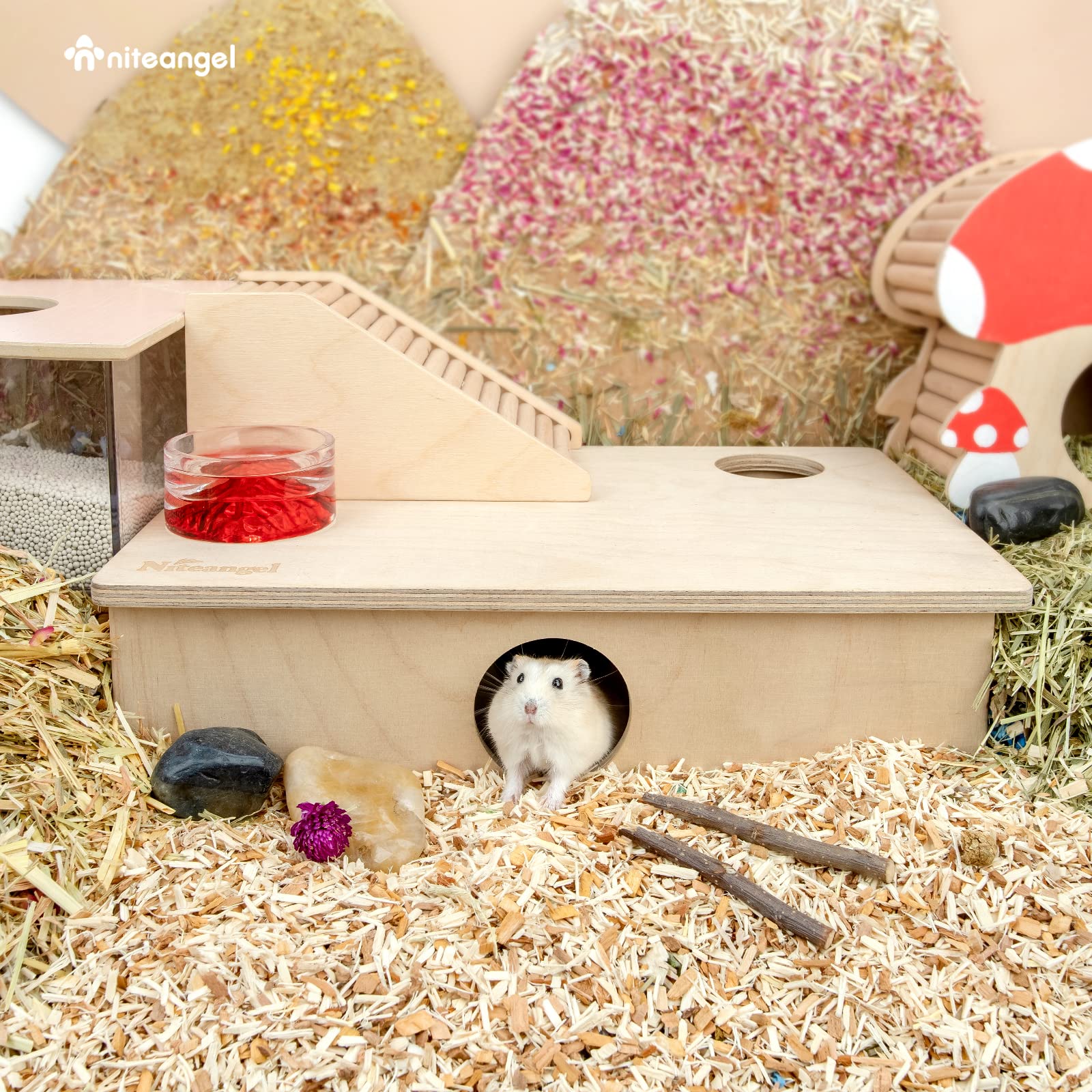 Niteangel Multi-Chamber Hamster House Maze: - Multi-Room Hideouts & Tunnel Exploring Toys for Hamster Gerbils Mice Lemmings (6-R