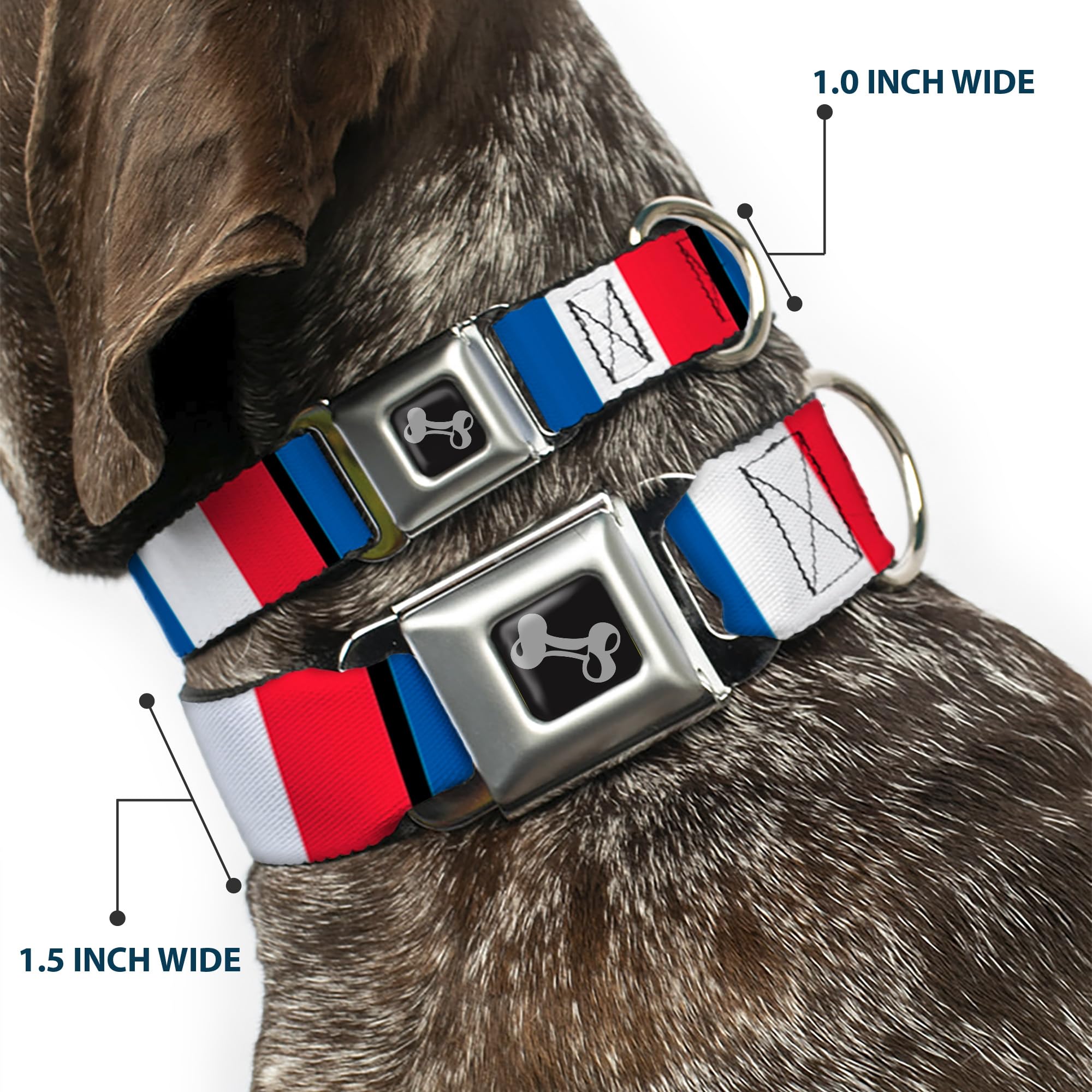 Buckle-Down Seatbelt Buckle Dog Collar - France Flags - 1.5 Wide - Fits 13-18 Neck - Small