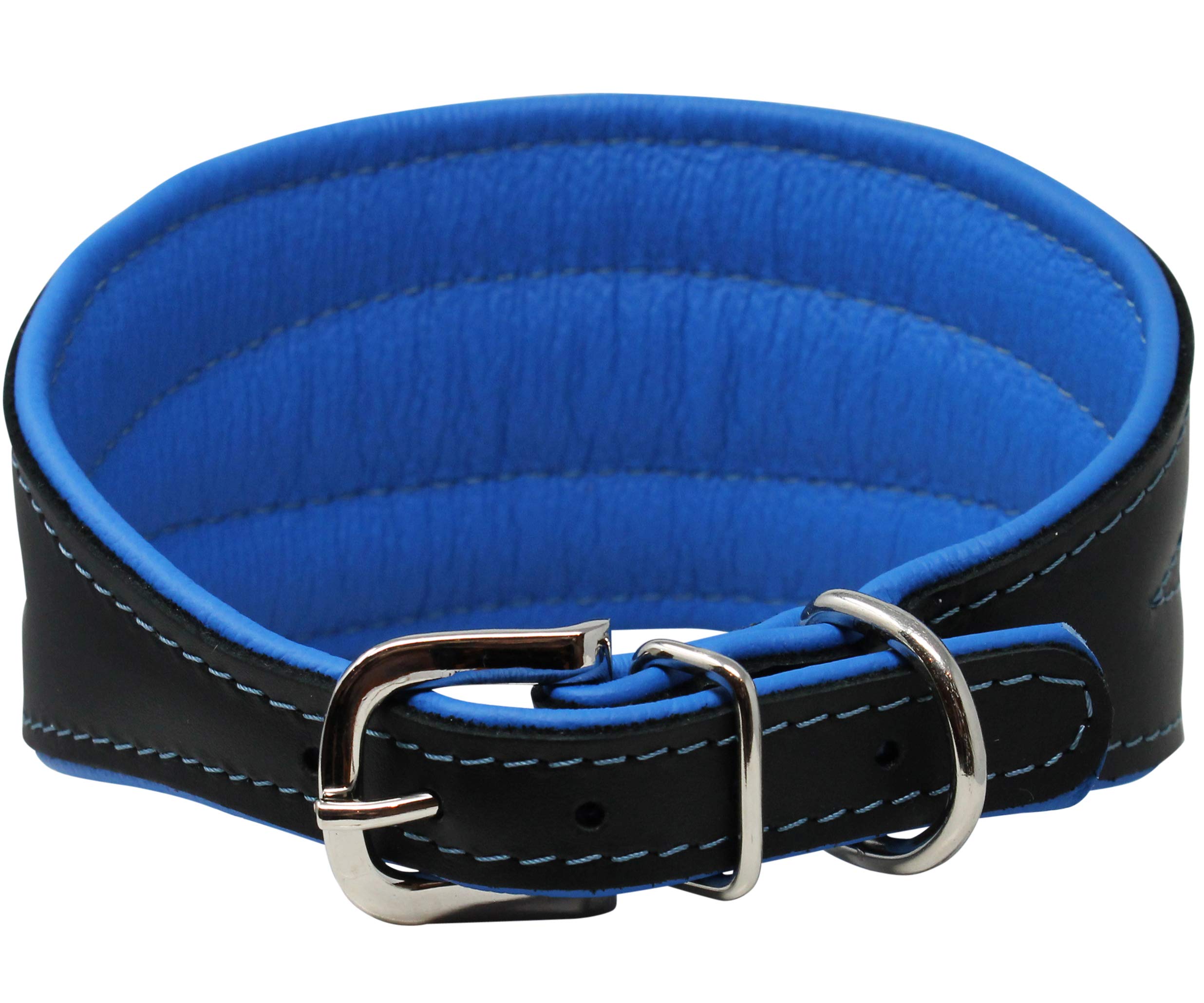 Real Leather Extra Wide Padded Tapered Dog Collar Glossy Black Greyhound Saluki Deerhound Lurcher Whippet Dachshund (16.75''-20'