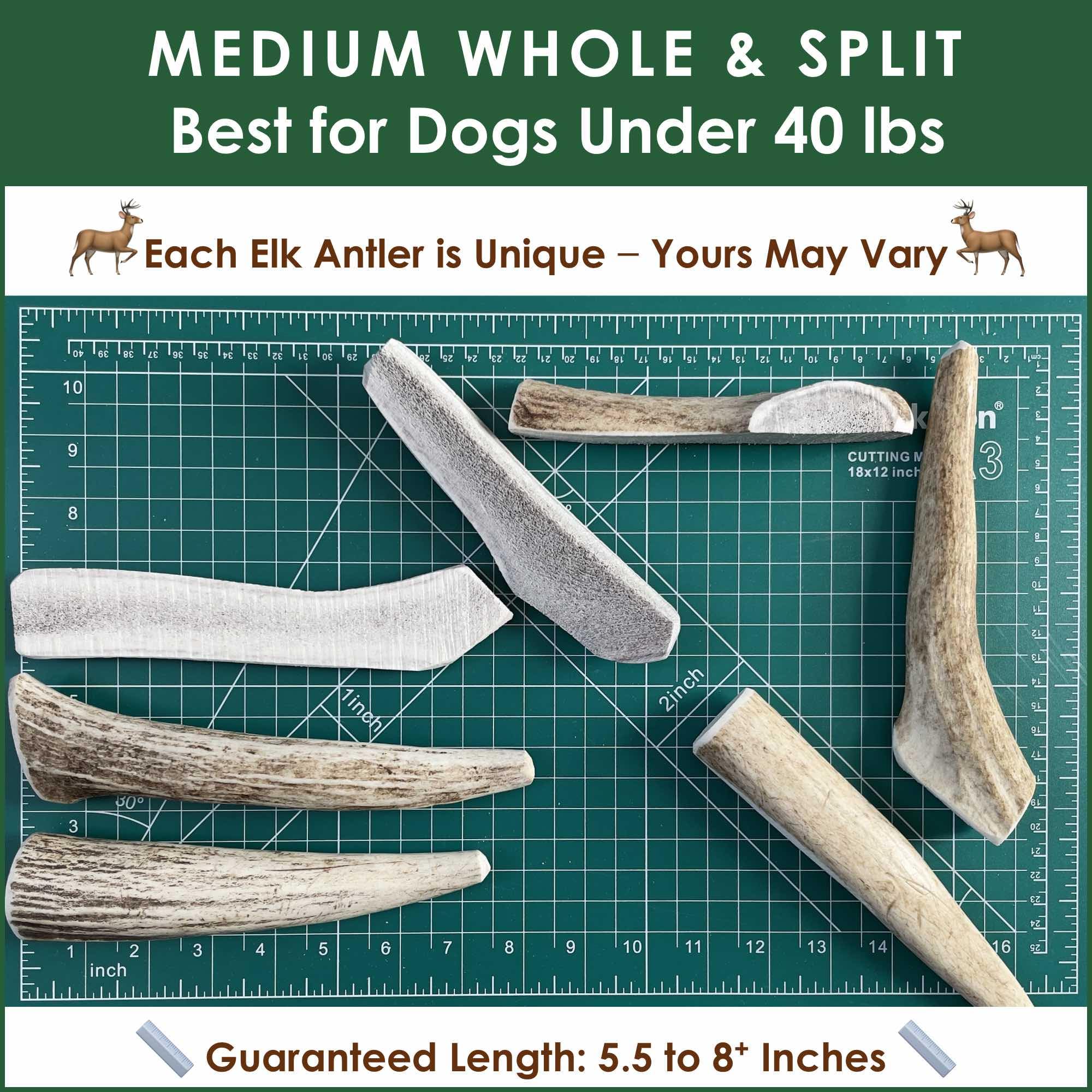 Deluxe Naturals 1-LB Medium Mixed Whole & Split Elk Antler Dog Chews (5.5-8+ in) - Long Lasting Natural Treats for Small to Medi