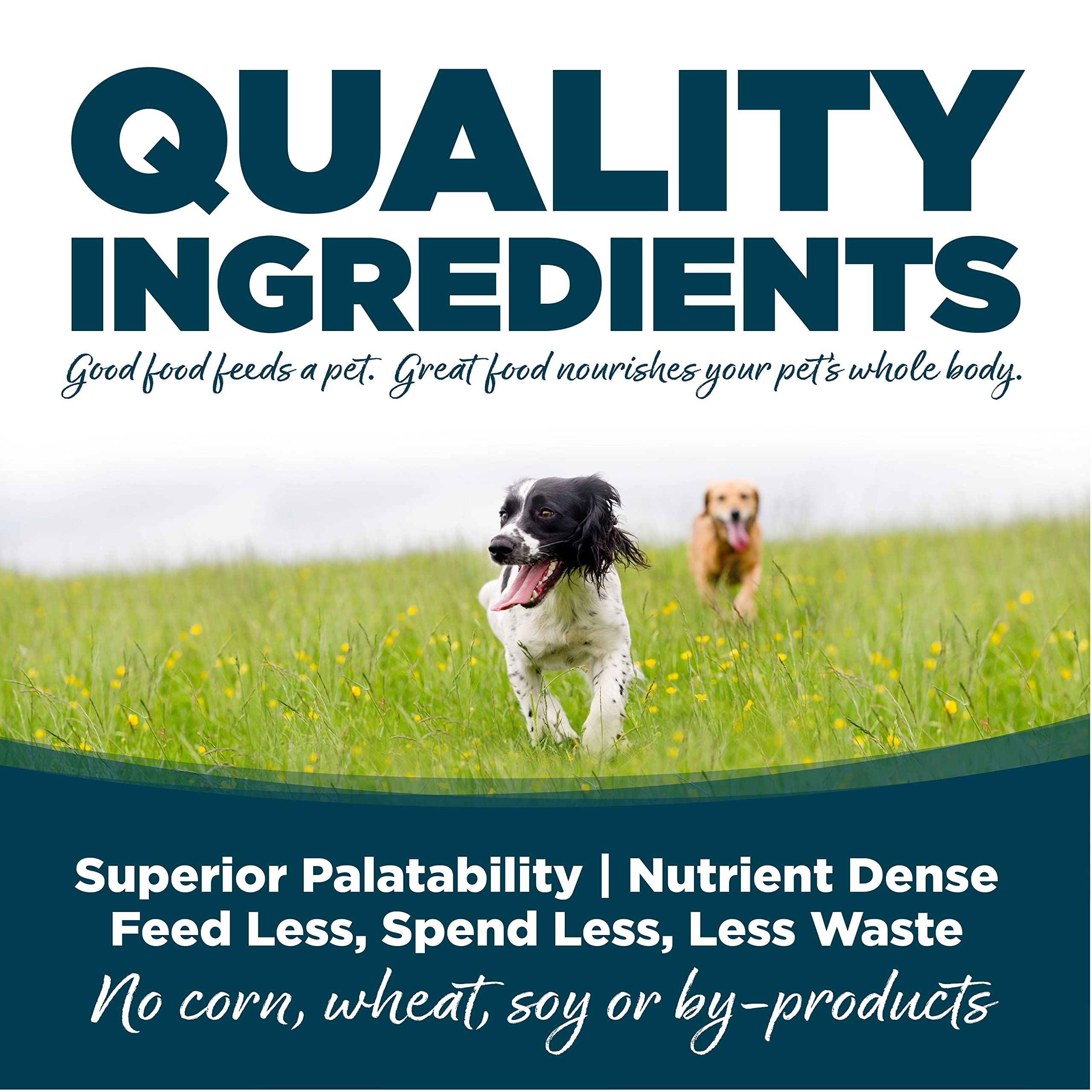 NutriSource Adult Chicken & Rice Small Bites Dog Food 5lb