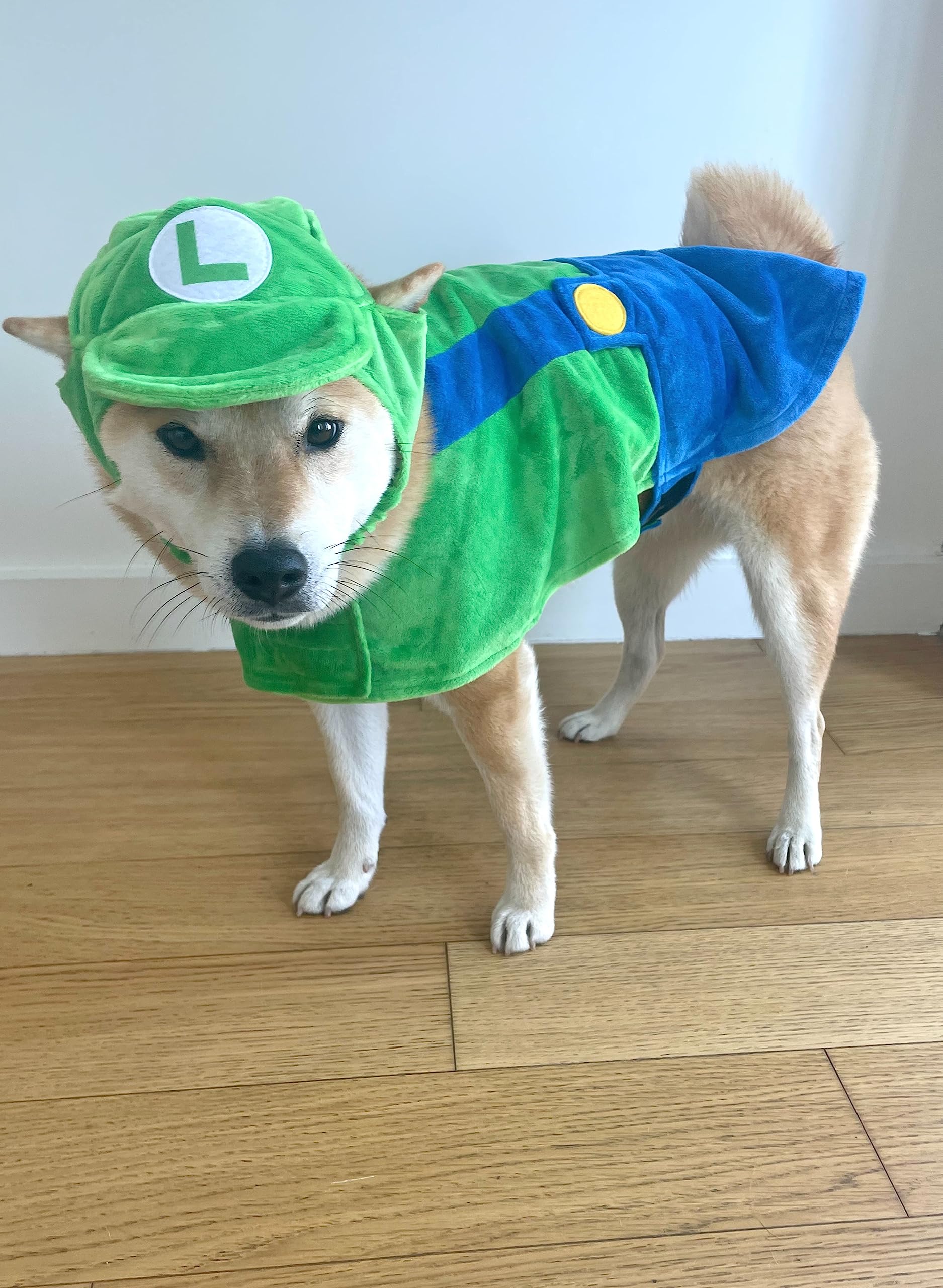 ComfyCamper Dog Costume - Hat & Suspenders, Large, Green, Polyester, X Large Medium Small Lab Star Space, Perfect for Halloween