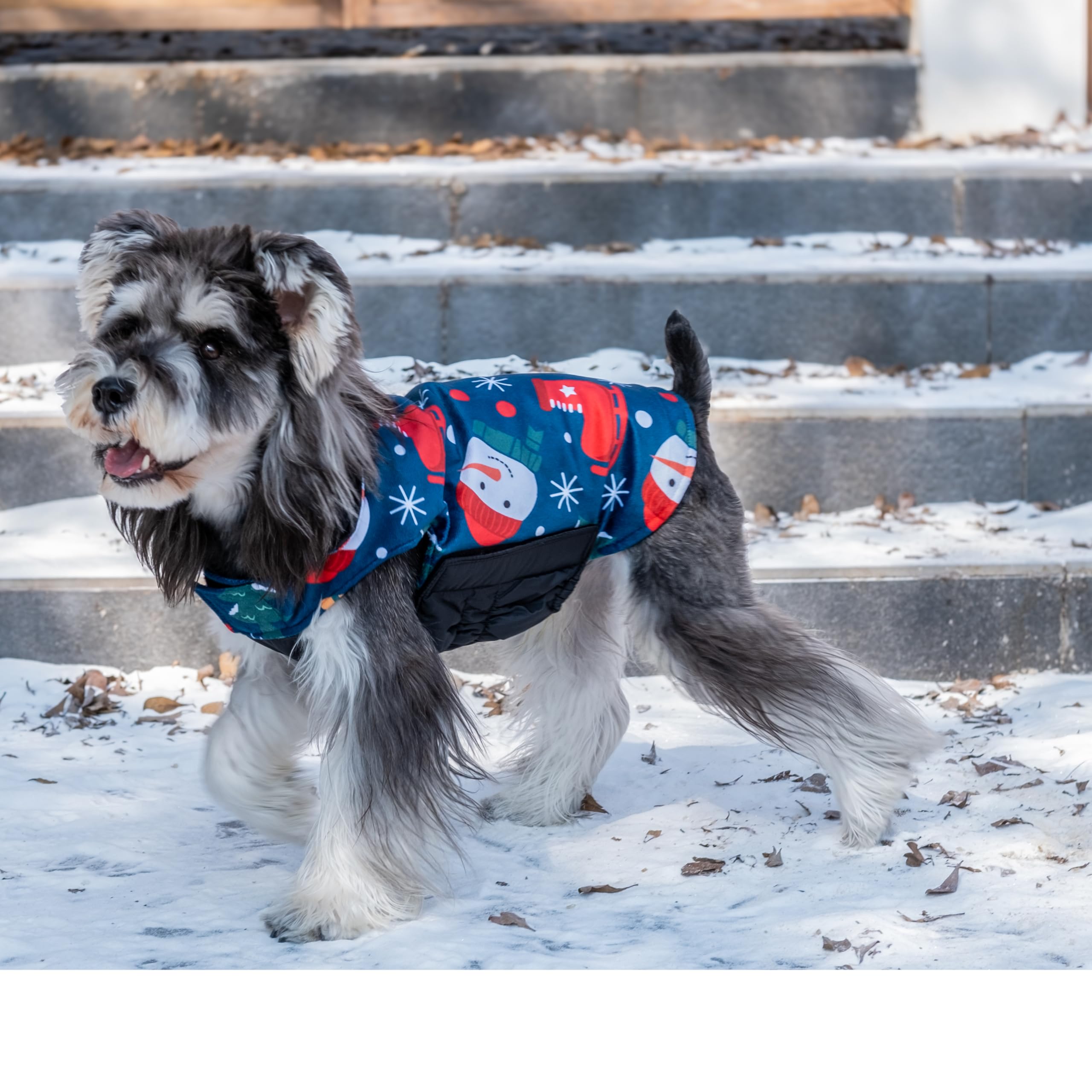 Cutebone Winter Coat, Reversible Dog Jacket & Vest, Thick Soft Dog Coats For Small To Large Dogs, Windproof And Waterproof, With