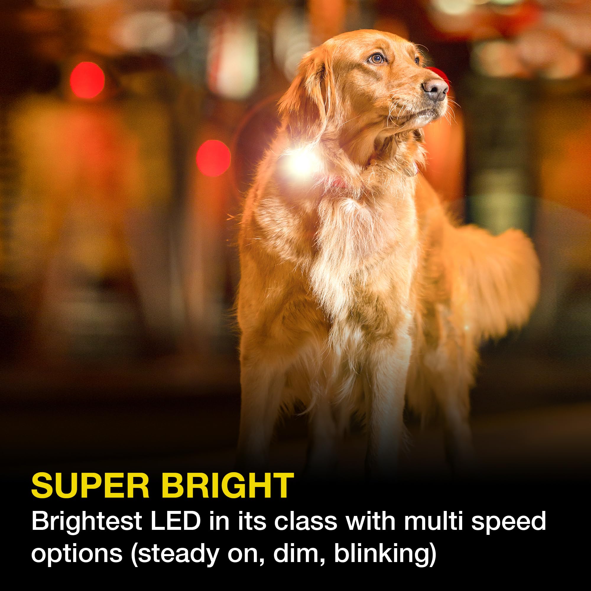 Max & Molly USB Rechargeable LED Dog Collar Light - Waterproof Safety Light for Night Walks, Hiking, Running, Biking
