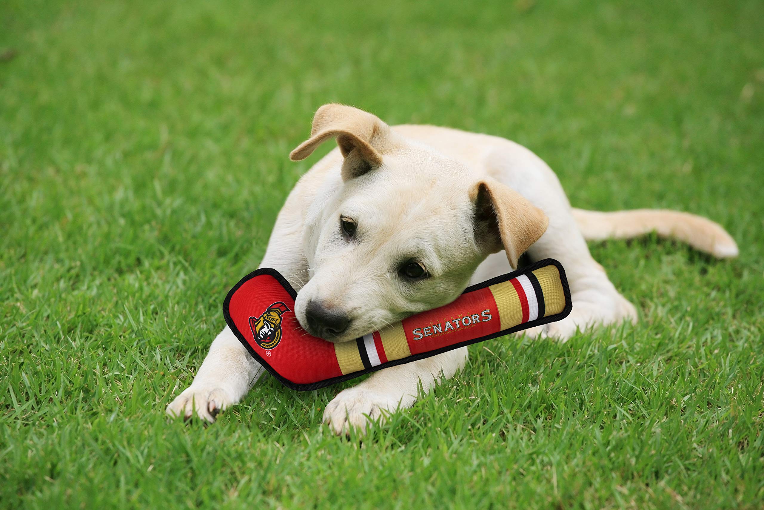 Pets First Nhl Ottawa Senators Stick Toy For Dogs & Cats. Play Hockey With Your Pet With This Licensed Dog Tough Toy Reward!, 16