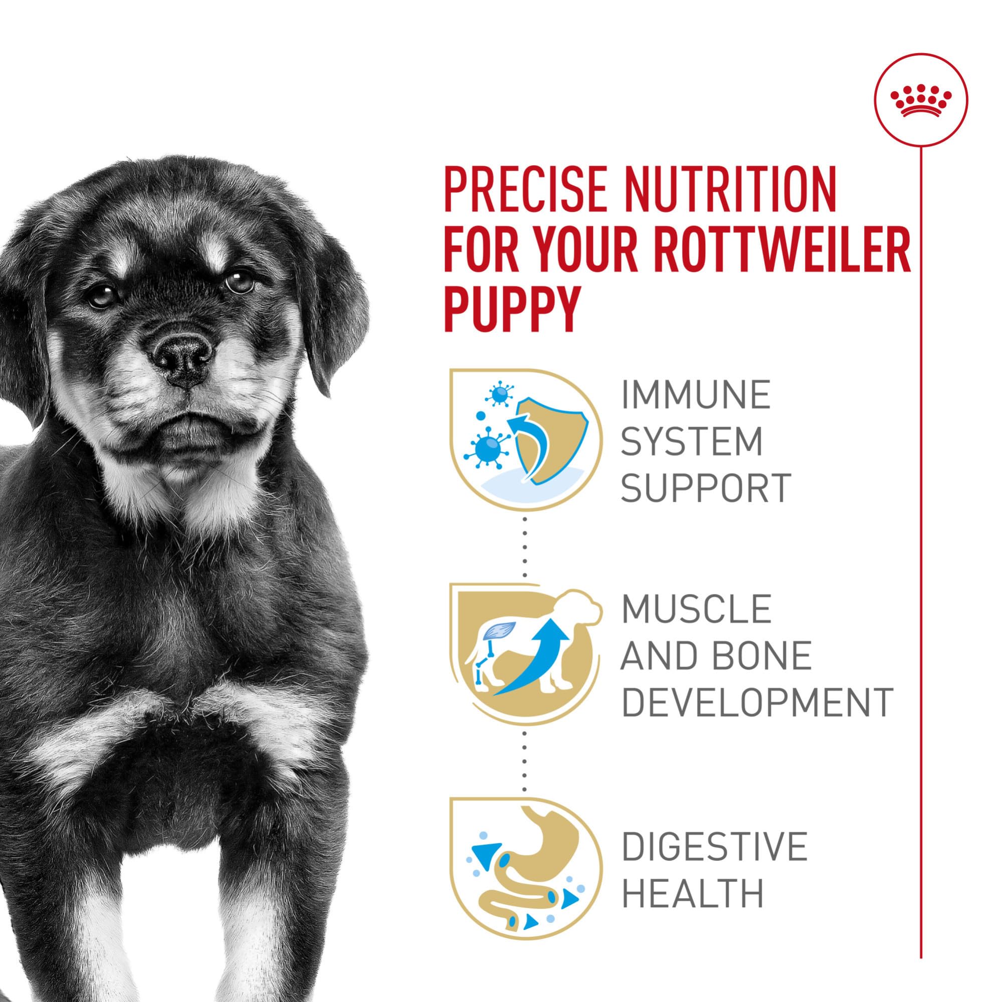 Royal Canin Breed Health Nutrition Rottweiler Puppy Dry Dog Food, 30 lb Bag