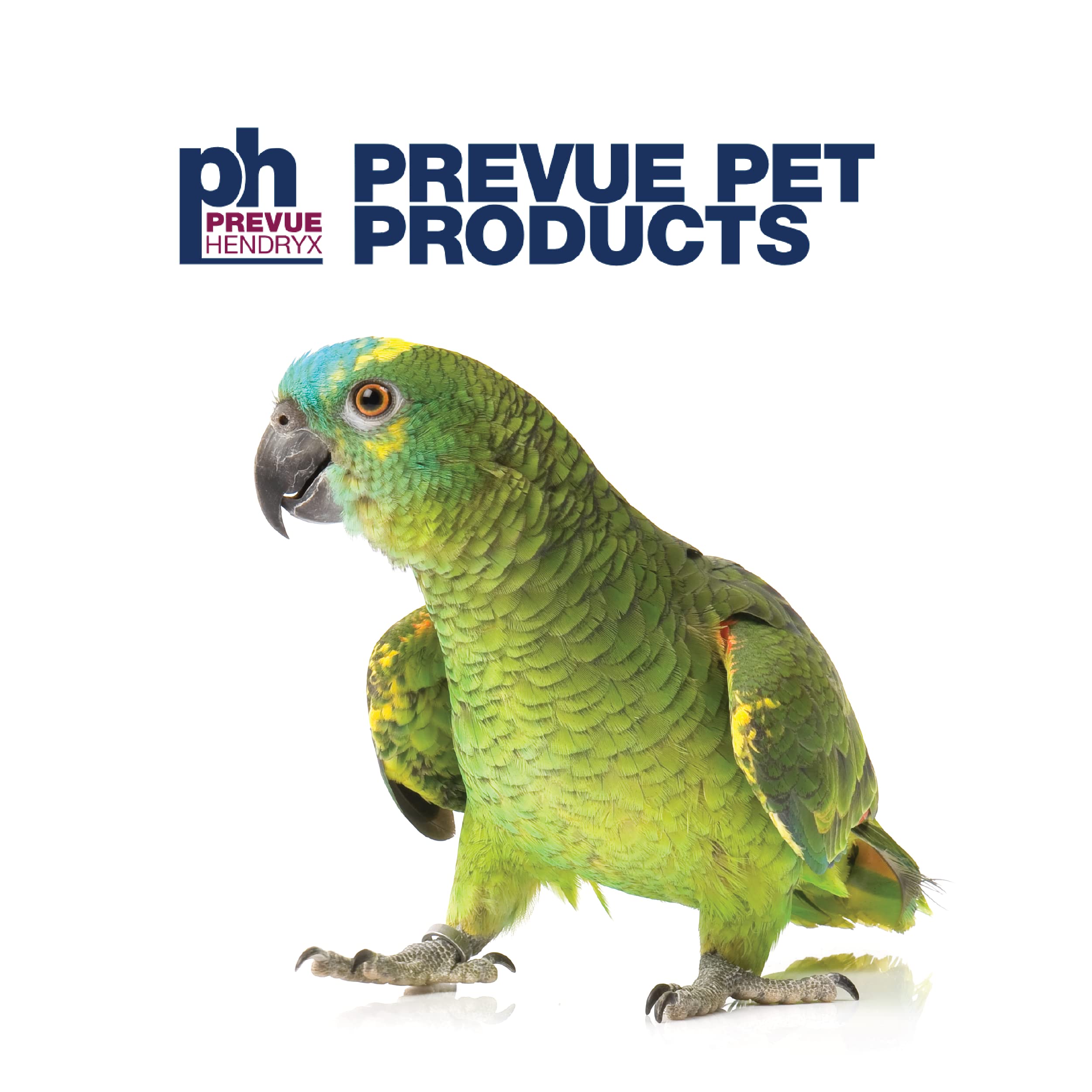 Prevue Pet Products Small Parrot Playstand with Wheels, Bird Stand Activity Play Center with Perches and Ladders, Indoor Outdoor