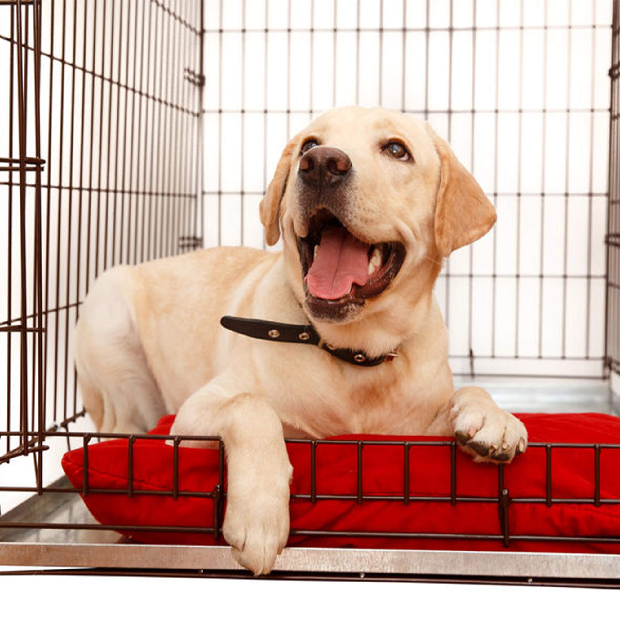 Kopeks Galvanized Metal Tray For Dog Crates, Pet Kennels, Restaurant Grease Traps, And Floor Protection With Leak And Rust Resis