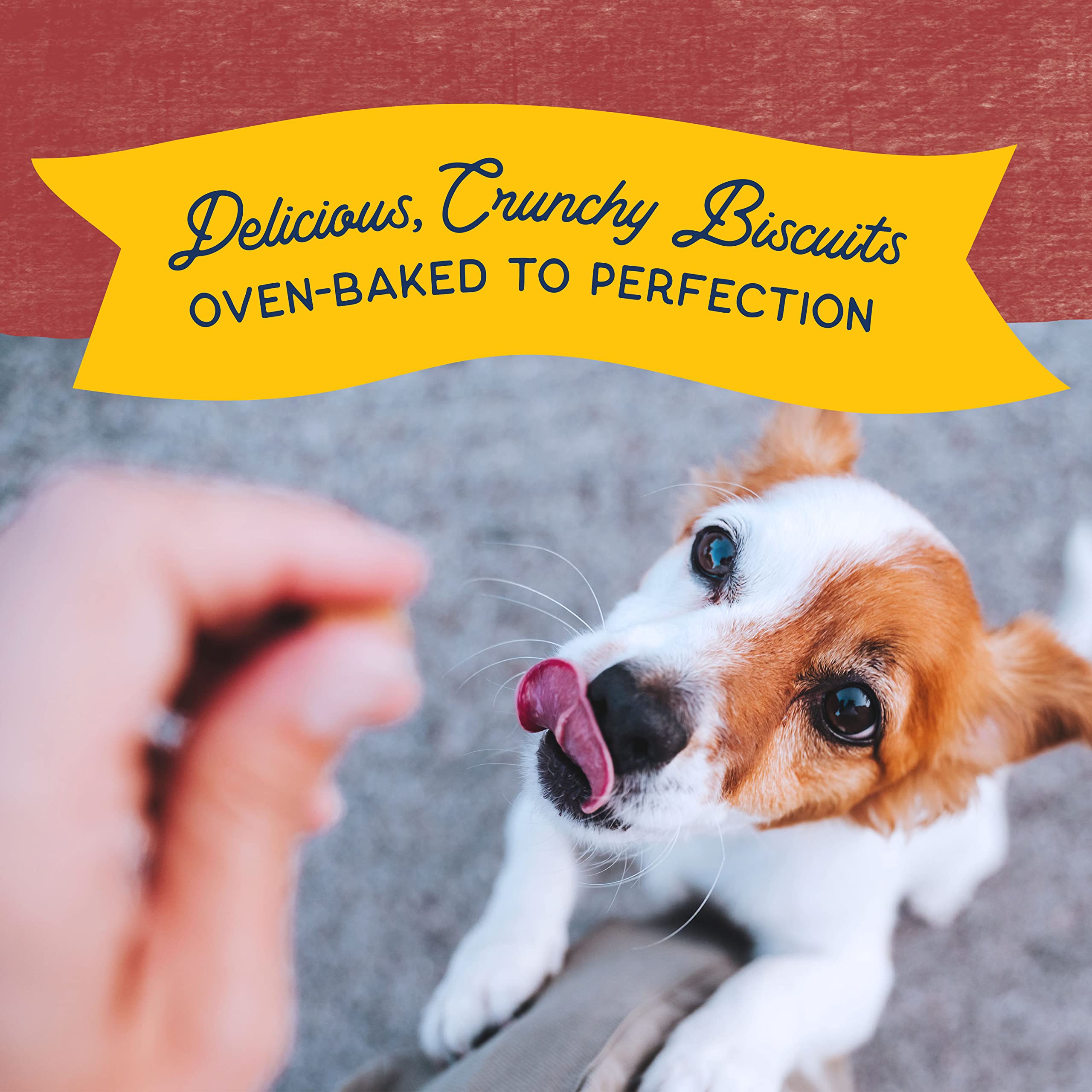 Natural Balance Limited Ingredient Rewards Crunchy Biscuits, Bite-Size Grain-Free Dog Treats for Small-Breed Adult Dogs, Made wi