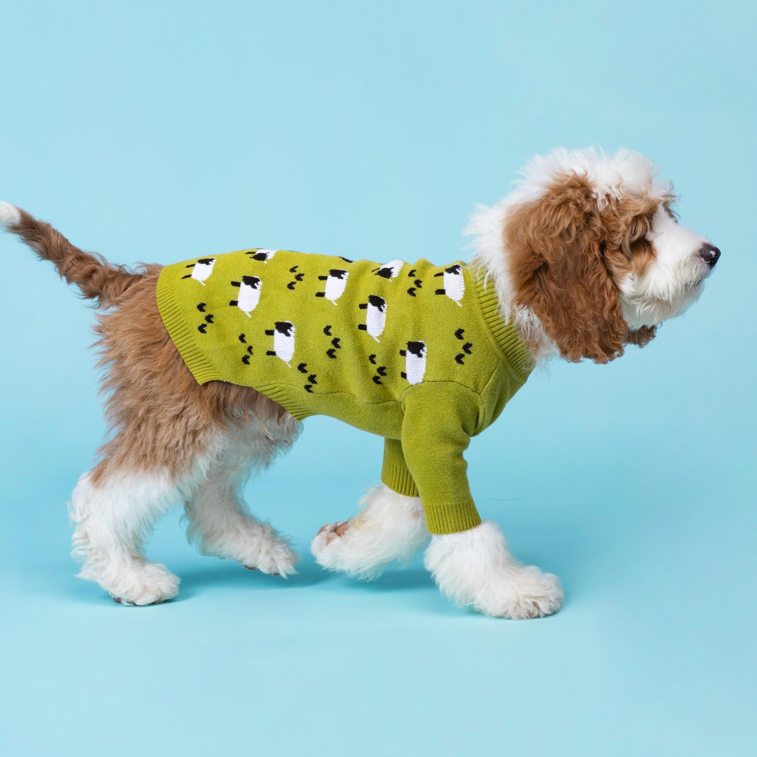 Fitwarm Funny Sheep Sweater for Small Dogs, Large Thermal Pullover Jumper, Rayon Blend, Black/Green/White