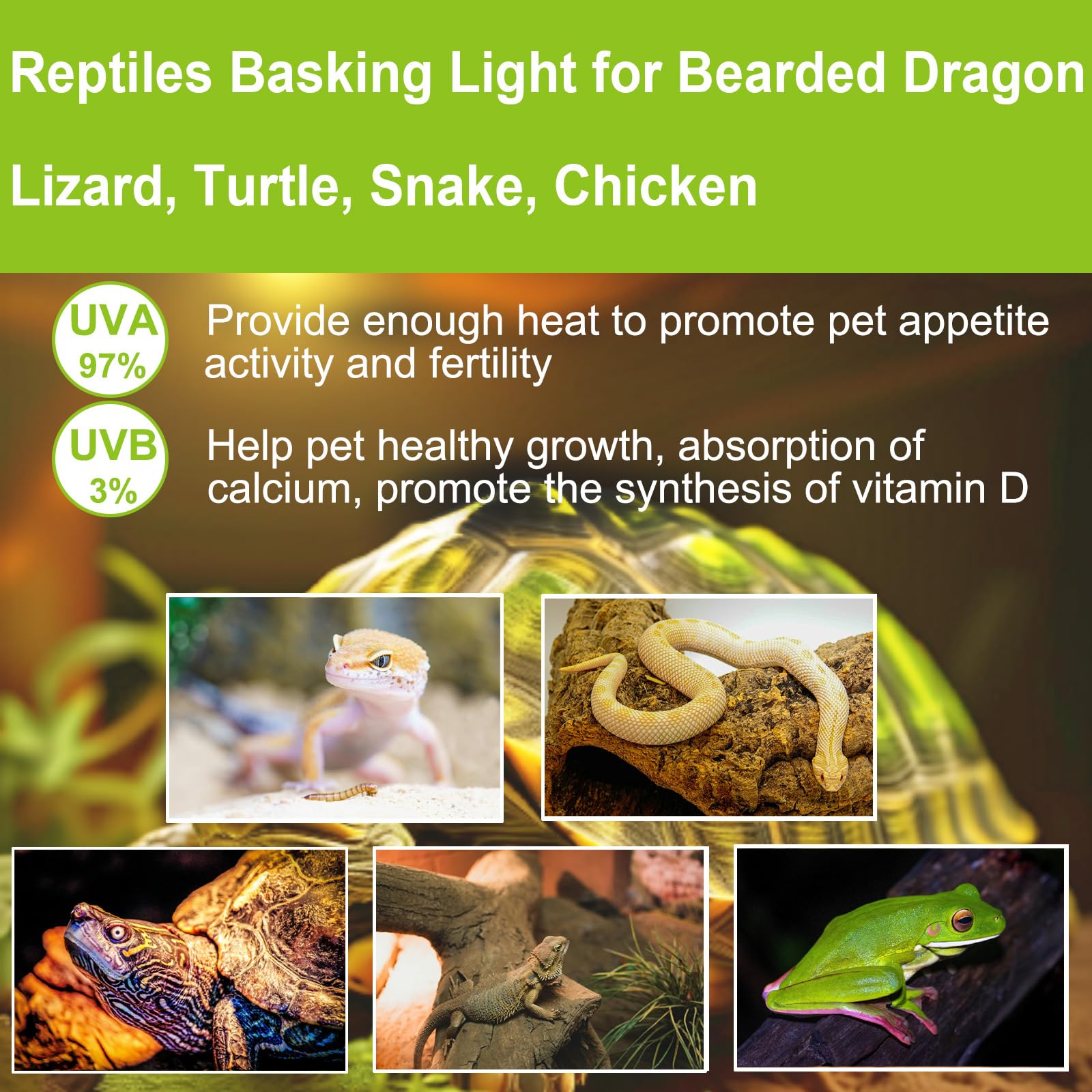 YEGRUEB UVB UVA Reptile Light Bulb 25W Bulb for Reptiles and Amphibians Tanks, Turtle Bearded Dragon Lizard Cages Frogs Heat Lam