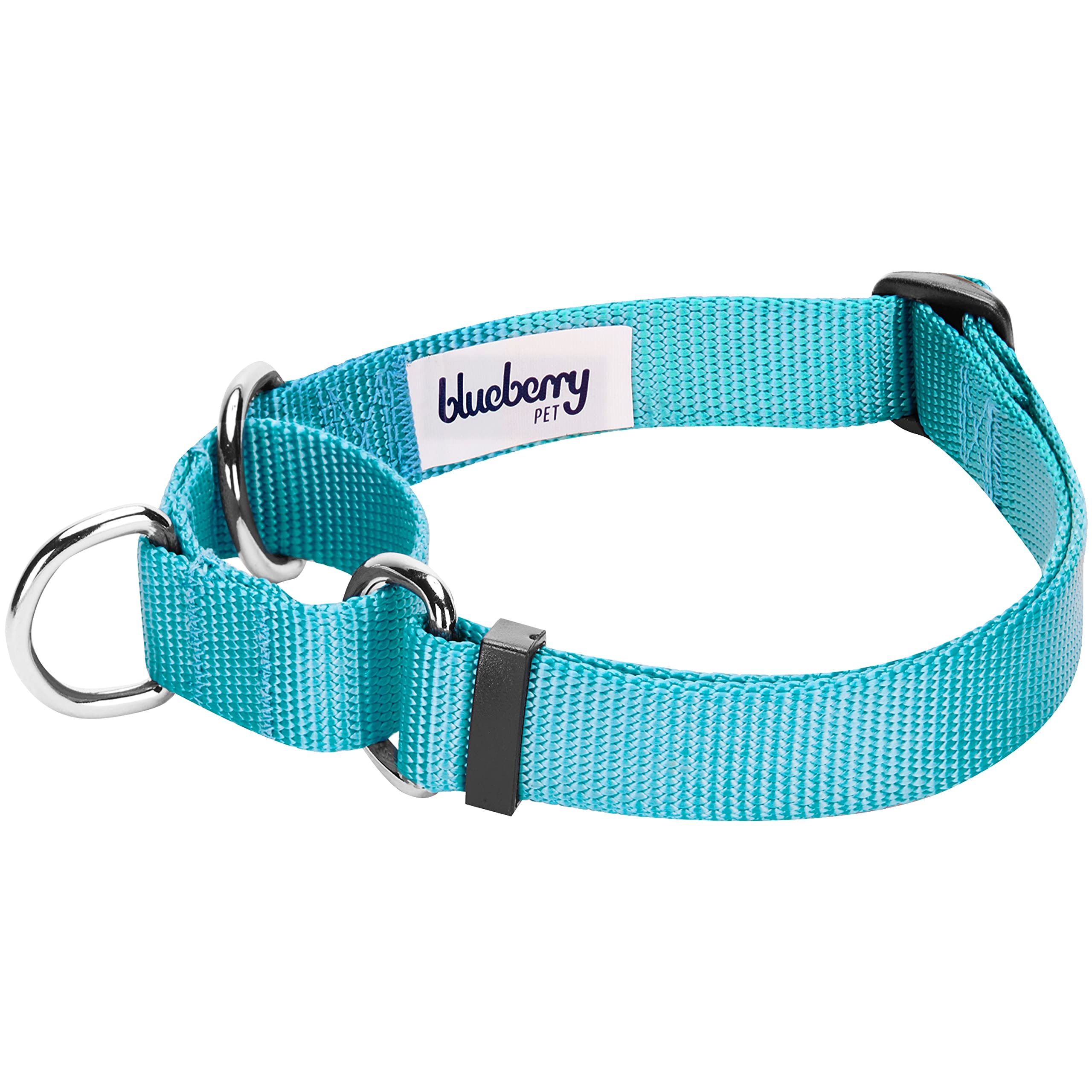 Blueberry Pet Essentials Martingale Safety Training Dog Collar, Turquoise, Large, Heavy Duty Nylon Adjustable Collars For Dogs