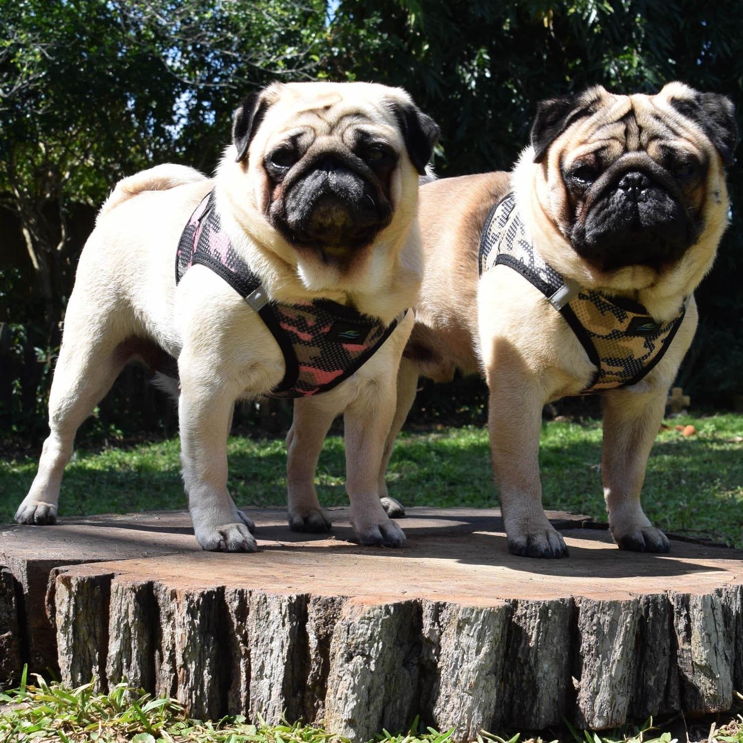 Doggie Design American River Dog Harness Camouflage Collection - Brown Camo Xxxl