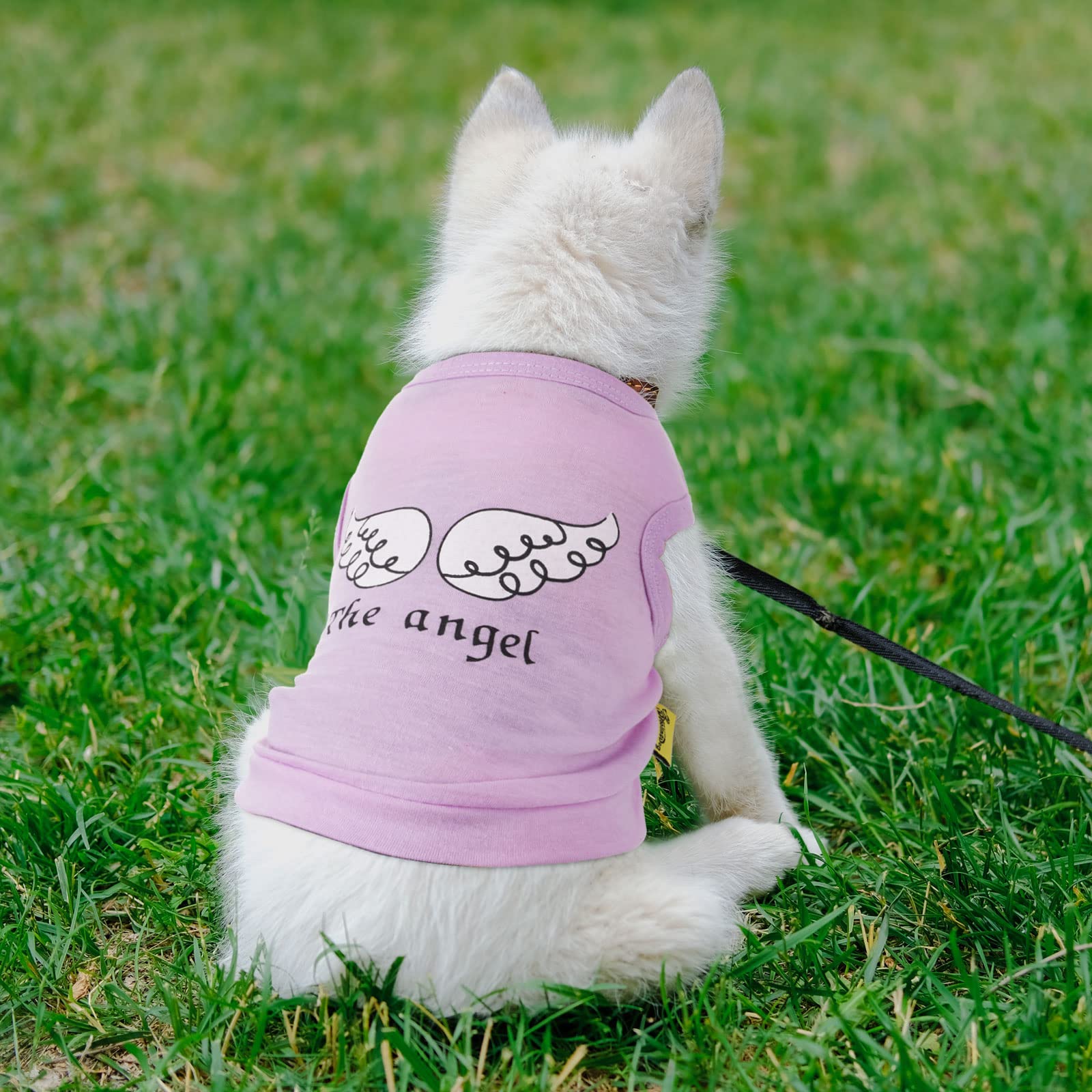 8 Pieces Pet Shirts Printed Puppy Shirts Soft Dog Shirt Pullover Dog T Shirts Cute Dog Sweatshirts Valentine'S Day Puppy Girl Clothes Dog Outfits Small Dog For Pet Dogs Cats (Vivid Pattern, Large)