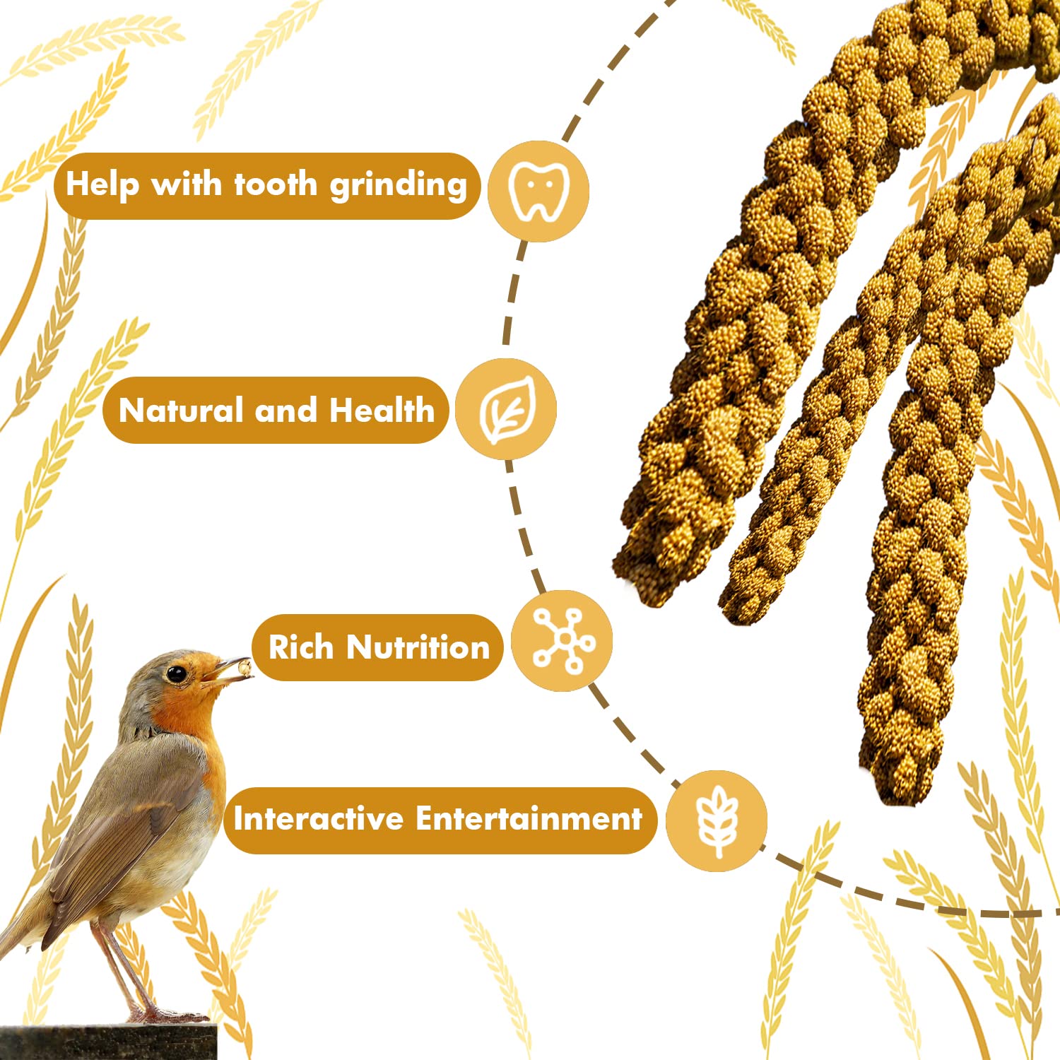 Jmxus 2LB Spray Millet Treat for Birds Parakeets, Natural Sun-Dried Birds Millet for Cockatiel, Finches, Parrots, Hamster