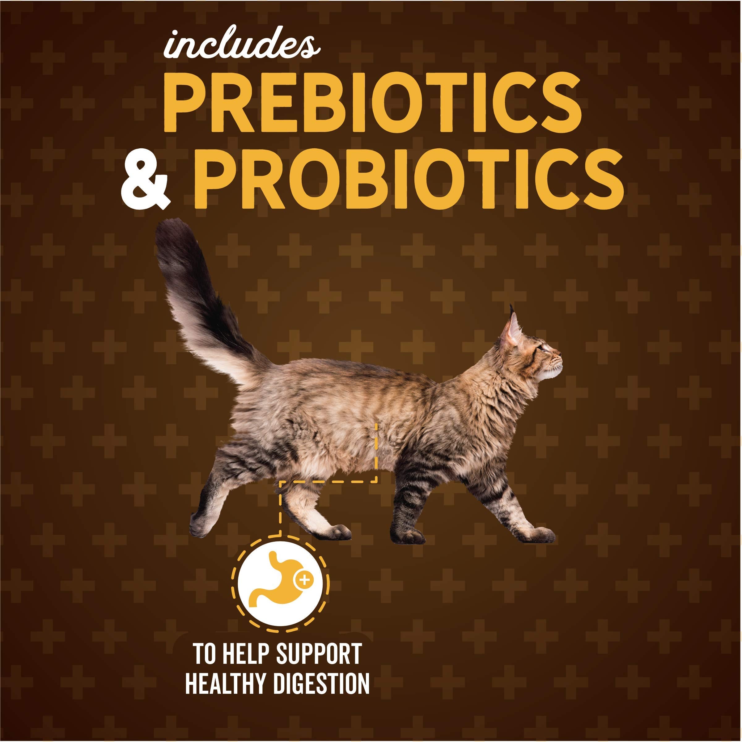 Evolve Classic Deboned Chicken & Brown Rice Recipe Cat Food, 3lb - Ideal for Maintenance
