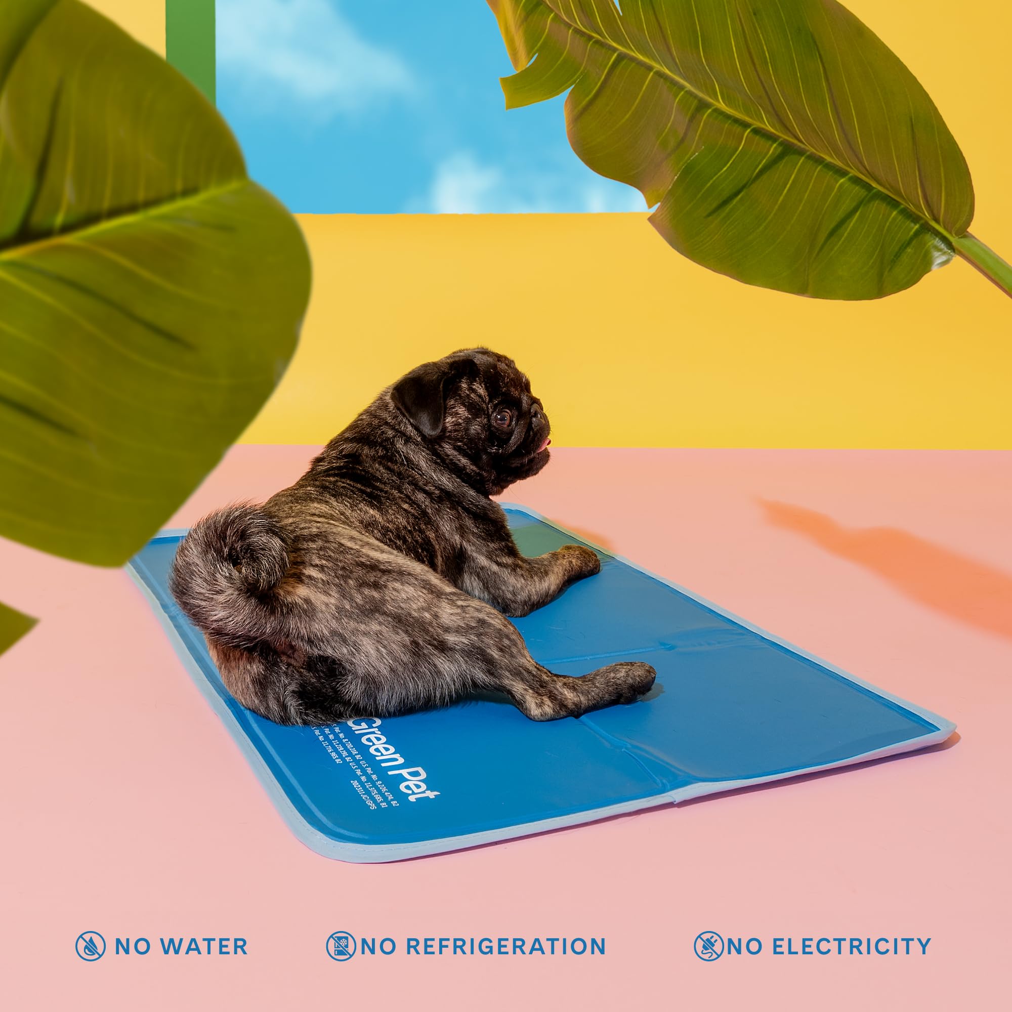 The Green Pet Shop Cool Pet Pad - Large, Blue - Self-Cooling Gel Mat for Dogs & Cats (46-80 lbs) - Model 48394