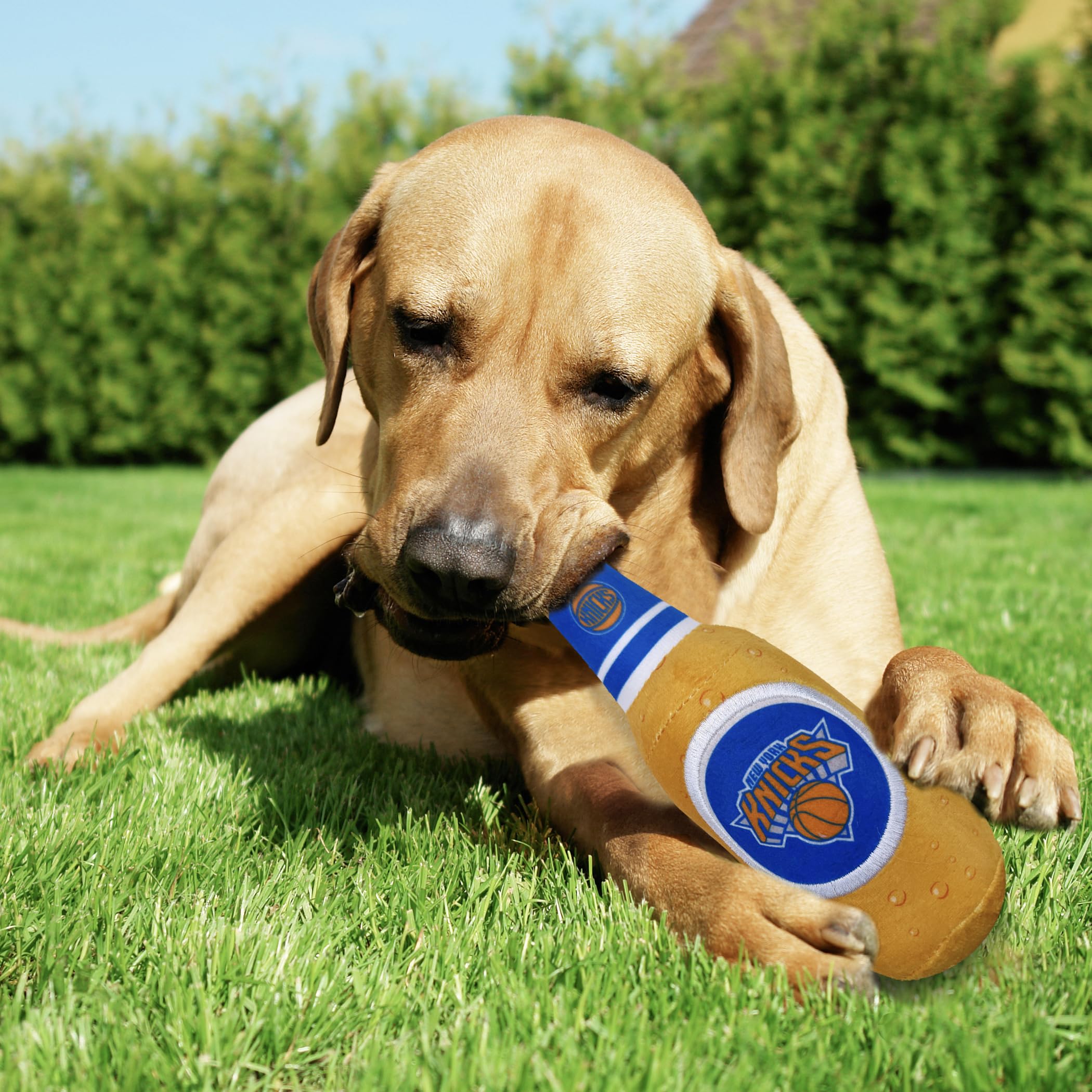 Pets First Nba New York Knicks Beer Bottle Plush Dog & Cat Squeak Toy - Cutest Stadium Soda Bottle Snack Plush Toy For Dogs & Ca