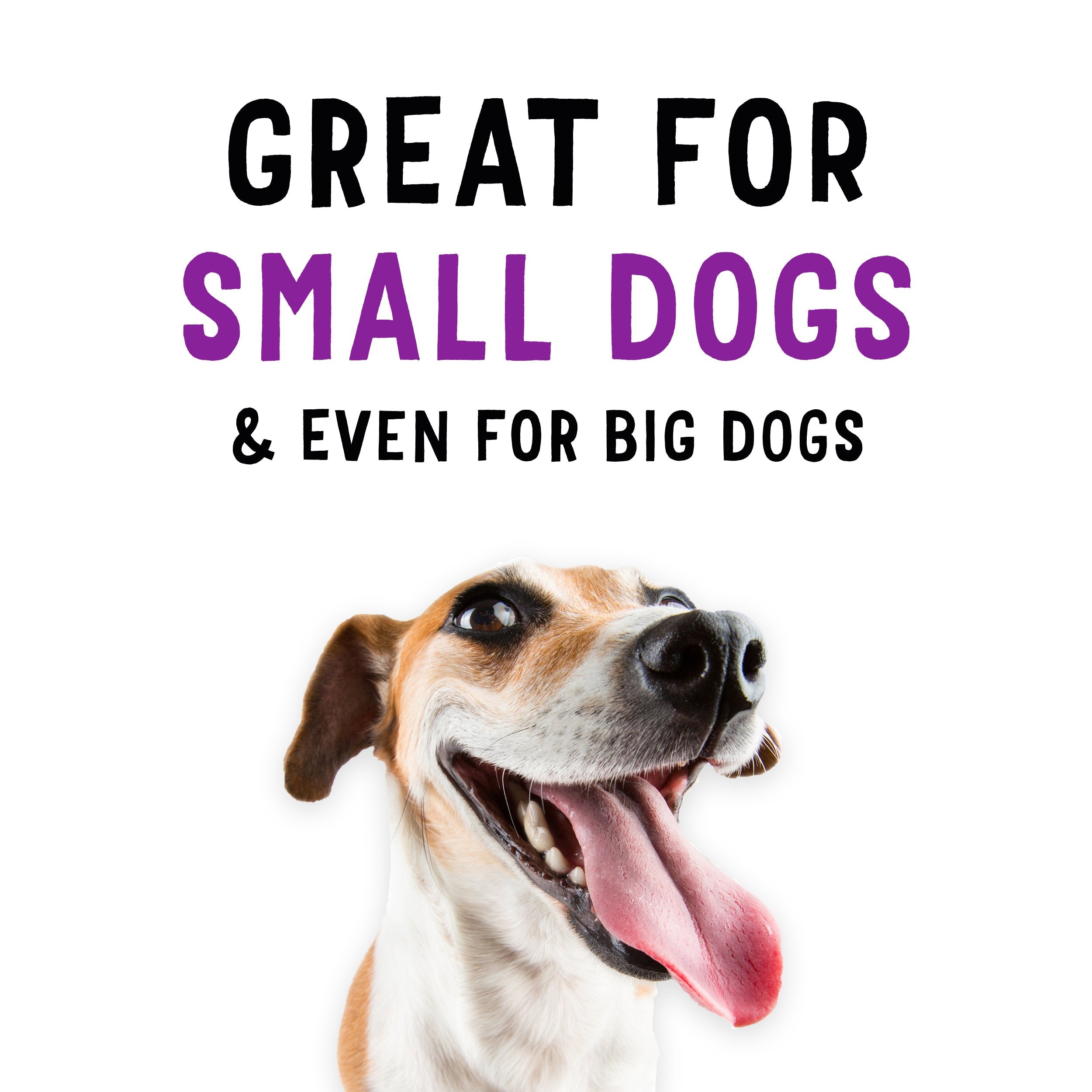 6OZ BegLi Bac Dog Snack
