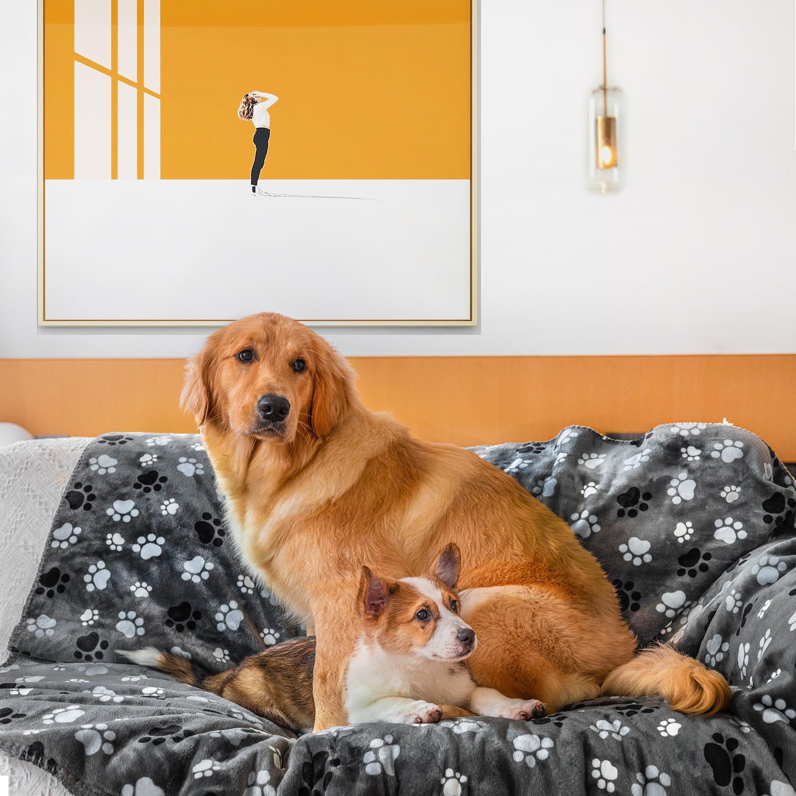 AIWEK Waterproof Pet Blanket Dog Blankets, Pattern Printing Super Soft Warm Fluffy Facecloth Sofa Car Bed Protector, Urine Proof