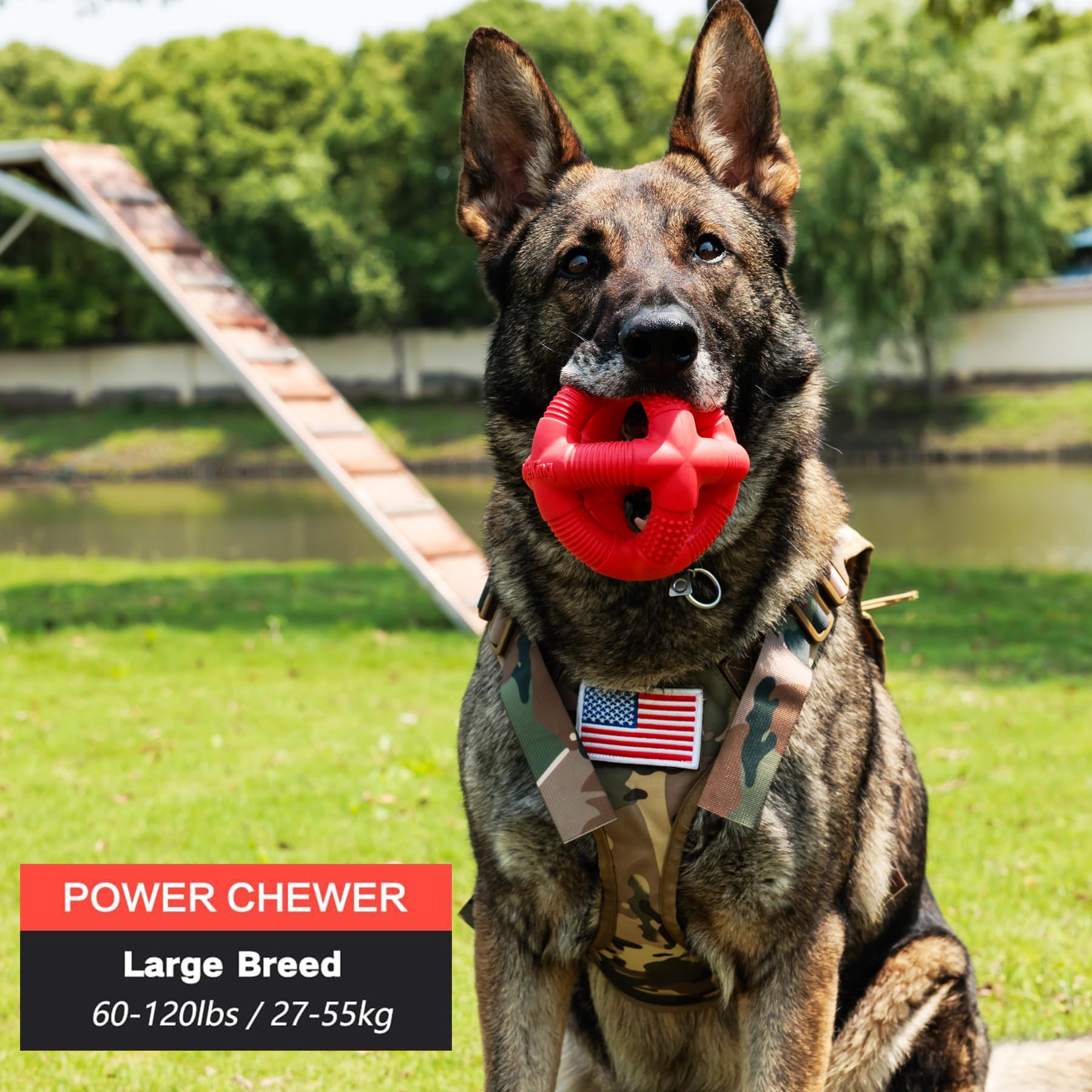 BiteKing Natural Rubber Dog Balls for Large Aggressive Chewers - Lifetime Replacement - Indestructible and Durable Dog Toys for