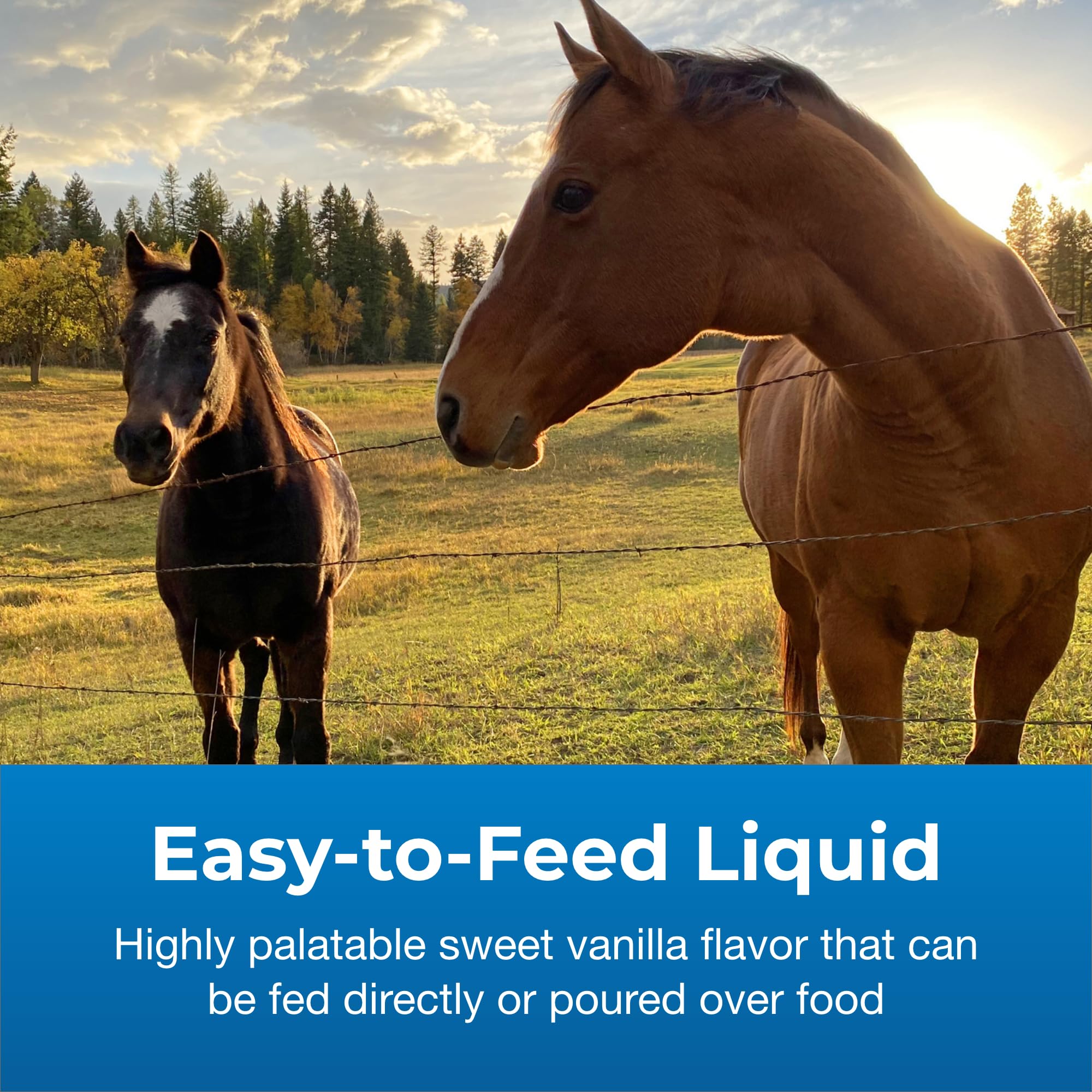 PetAg Dyne High Calorie Liquid for Livestock, 32 oz