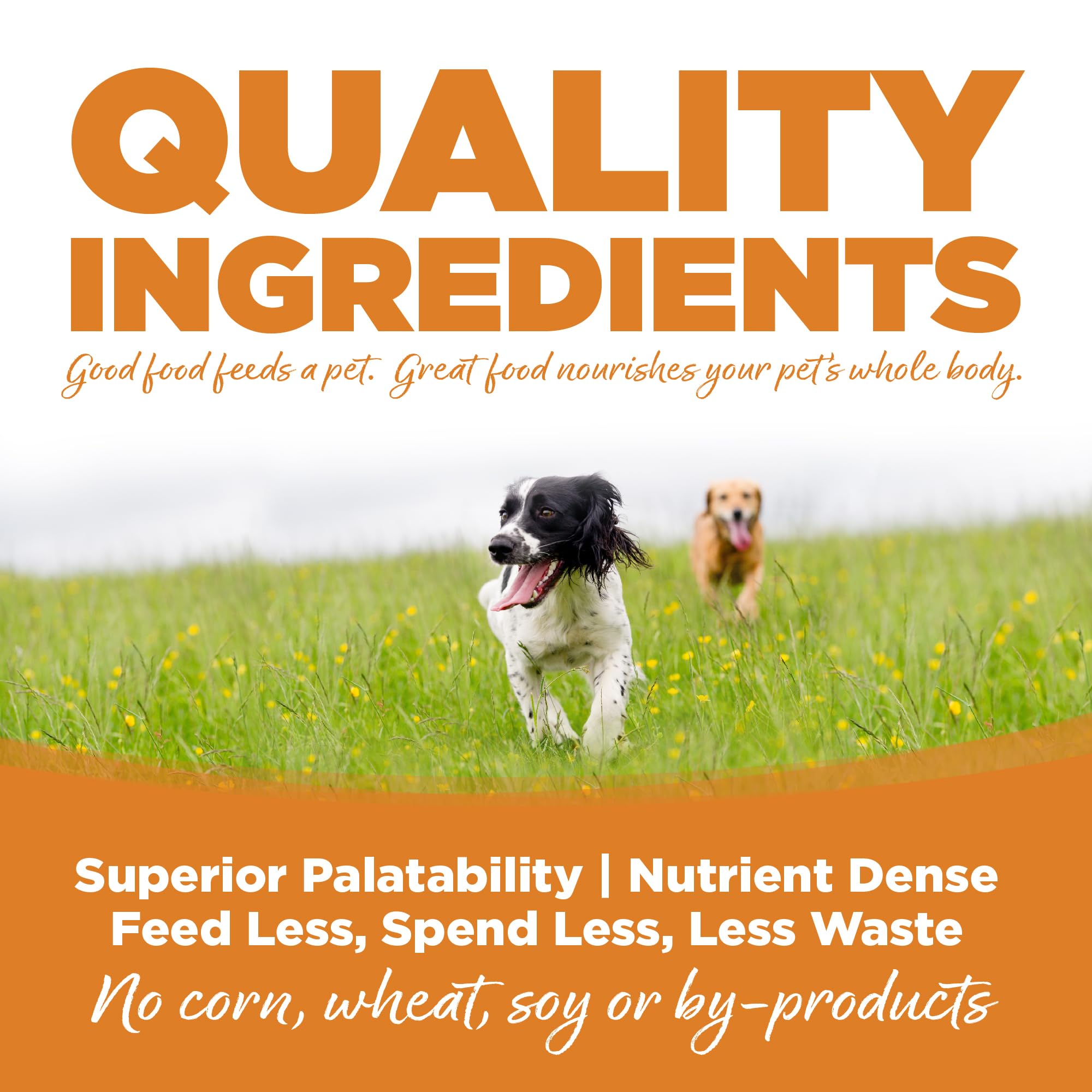 NutriSource Adult Dry Dog Food, Lamb Meal and Rice, 12LB