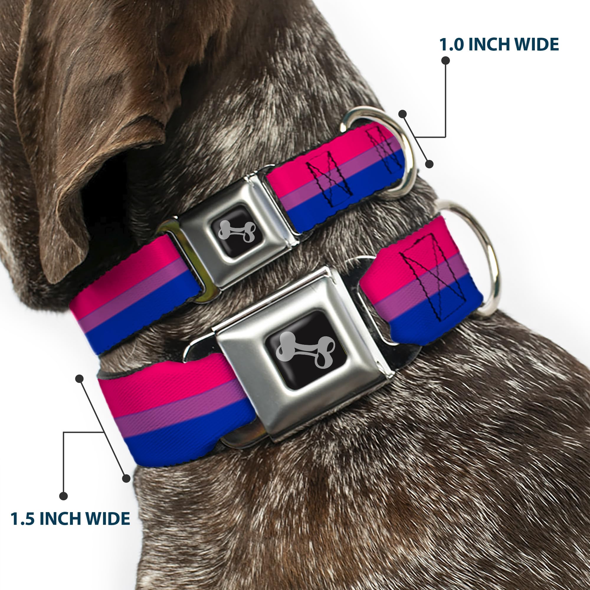 Dog Collar Seatbelt Buckle Flag Bisexual Pink Purple Blue 13 To 18 Inches 1.5 Inch Wide