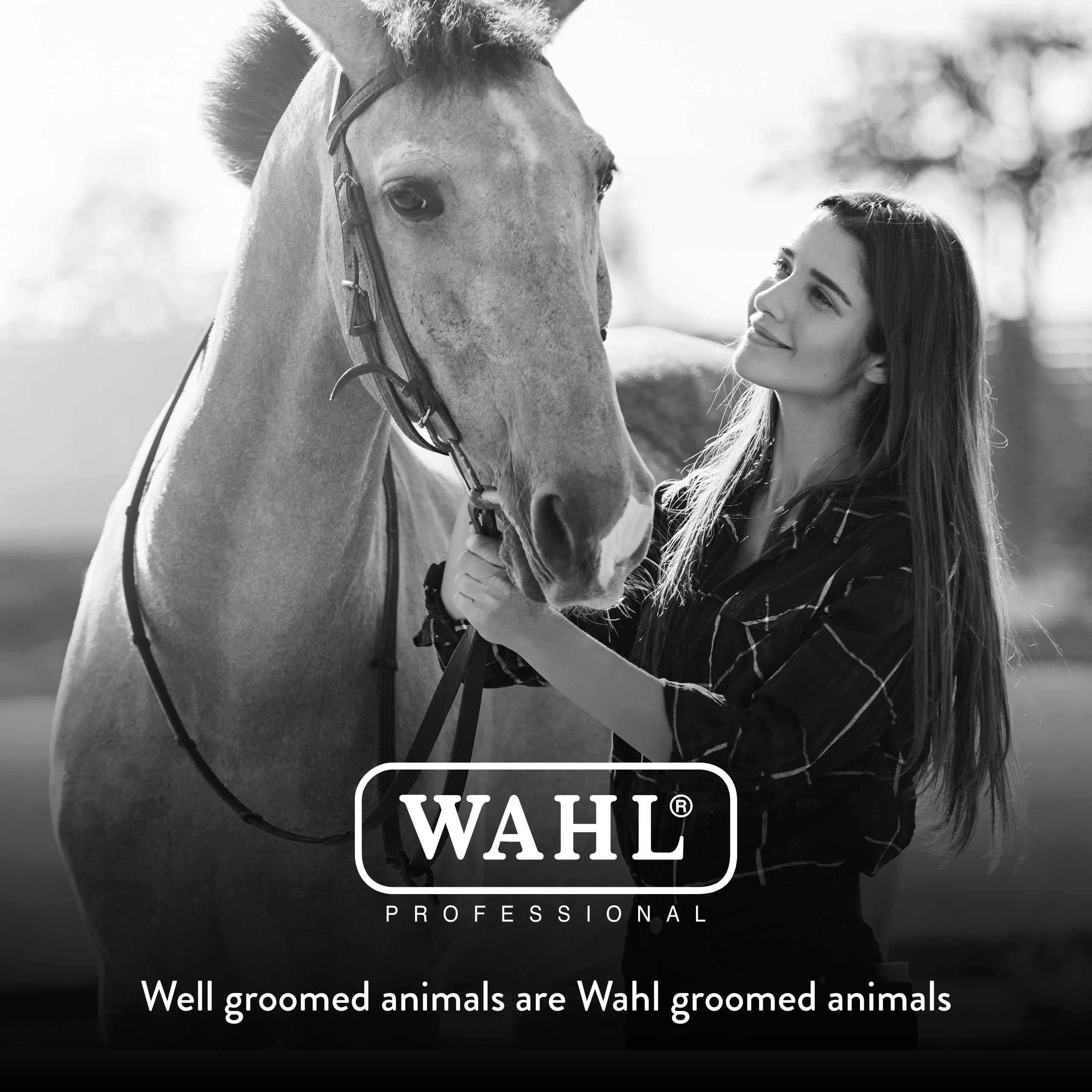 Wahl Professional Animal Mane & Tail Brush - Ergonomic Black Braiding Comb (#858708) For Equine Grooming